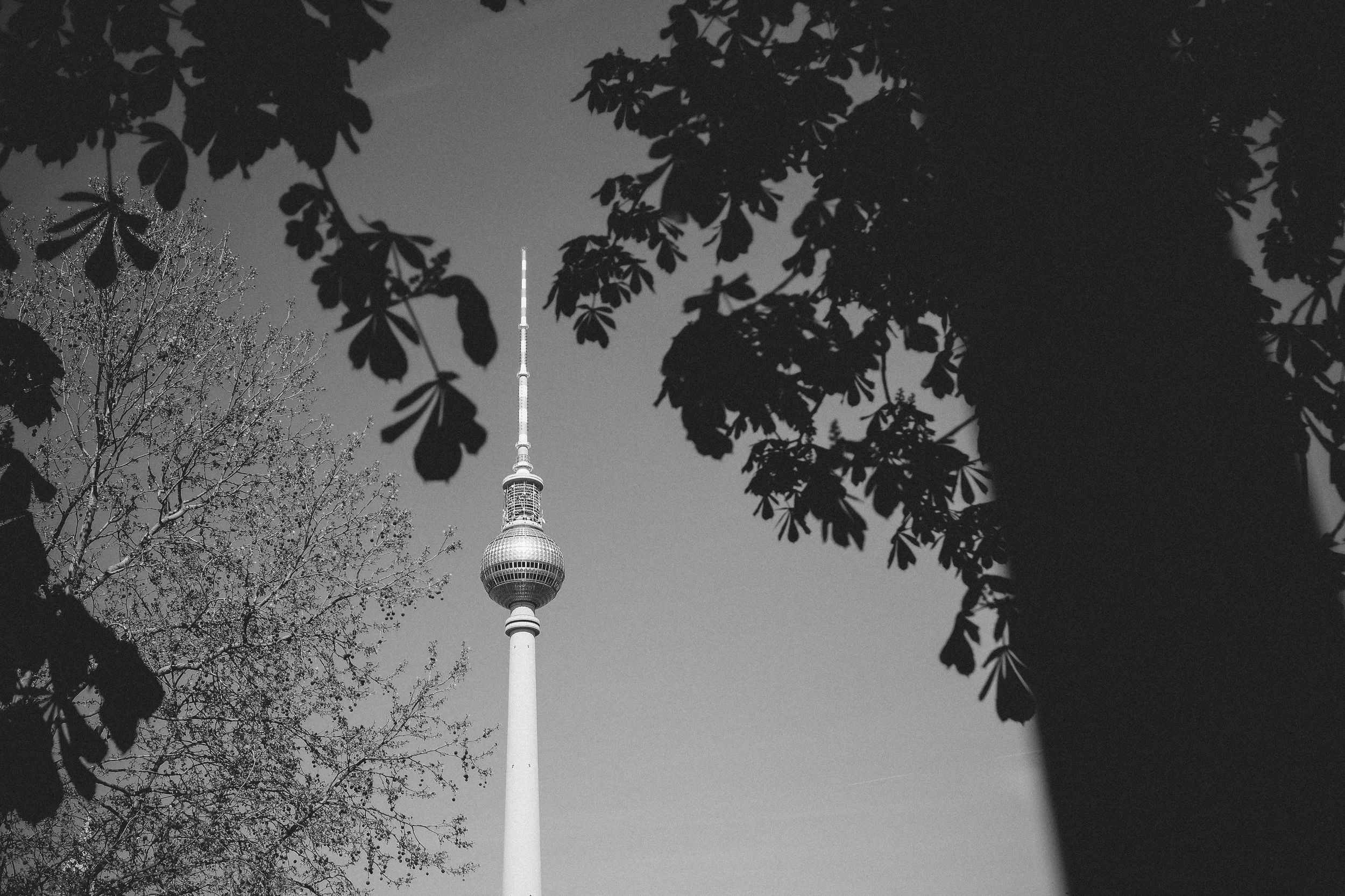 _DSF6268.jpg