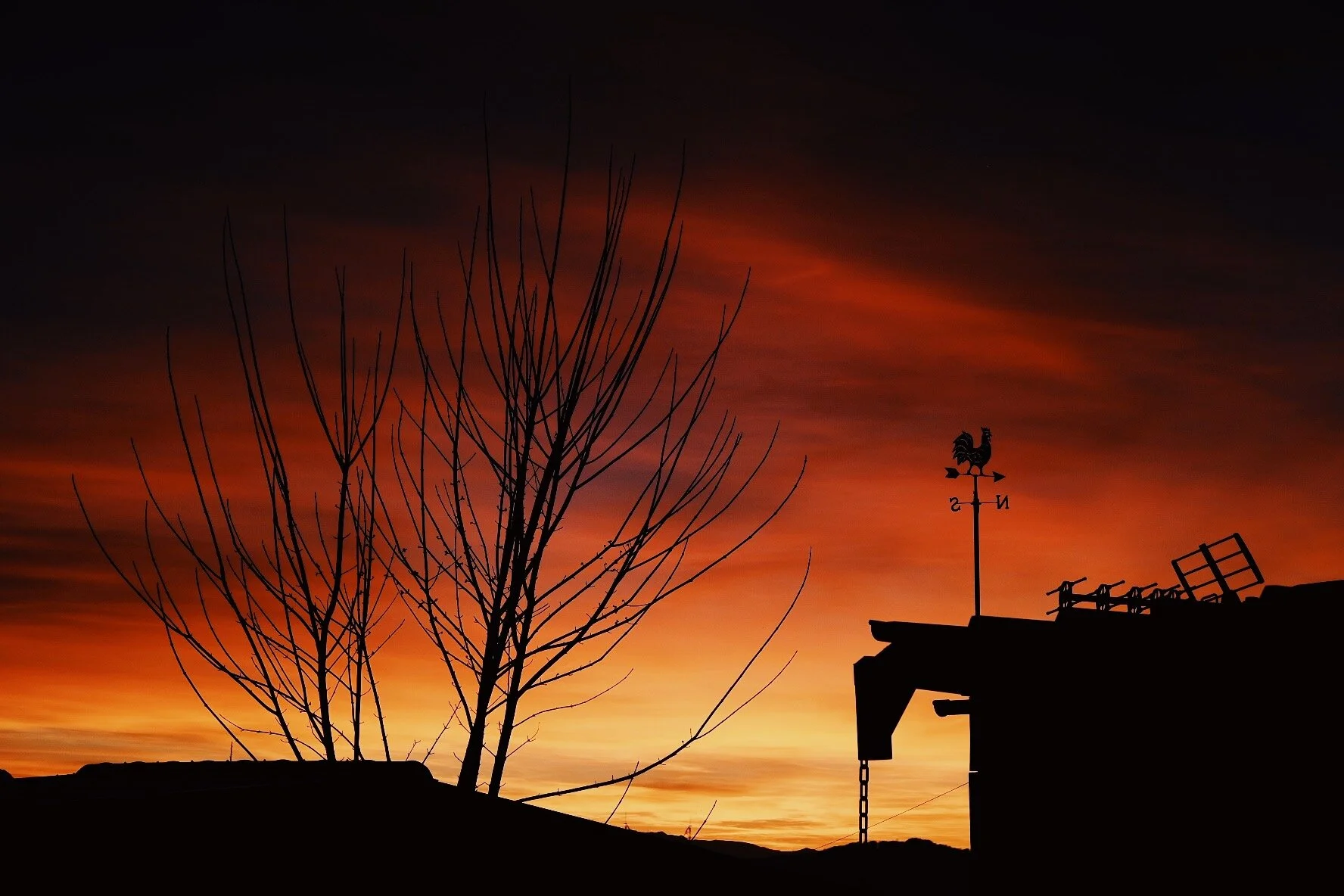 C8C9798D-8B28-43D0-9EF6-6651FE92ACE1 2.JPG