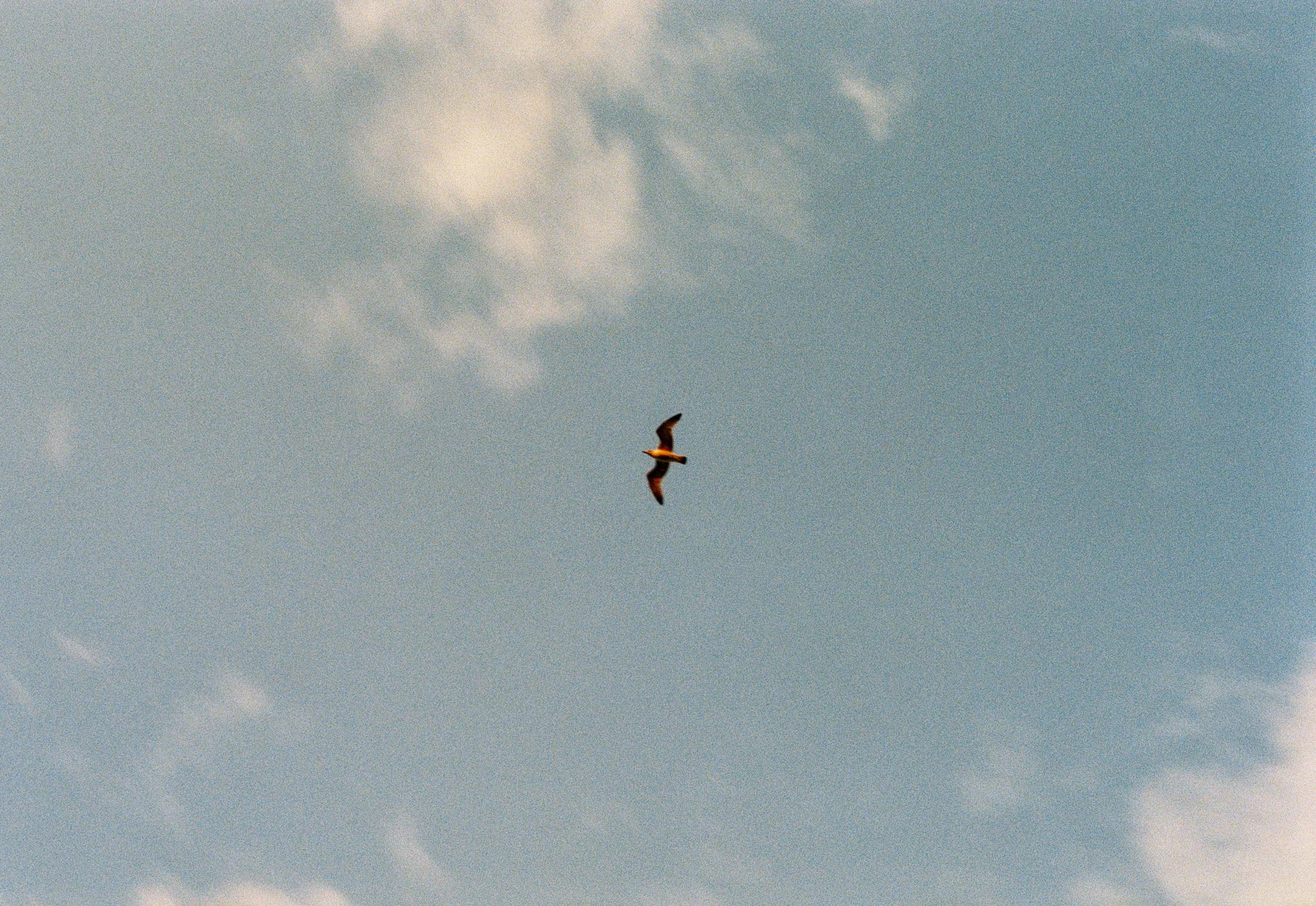 Yoann Buetas-124.jpg