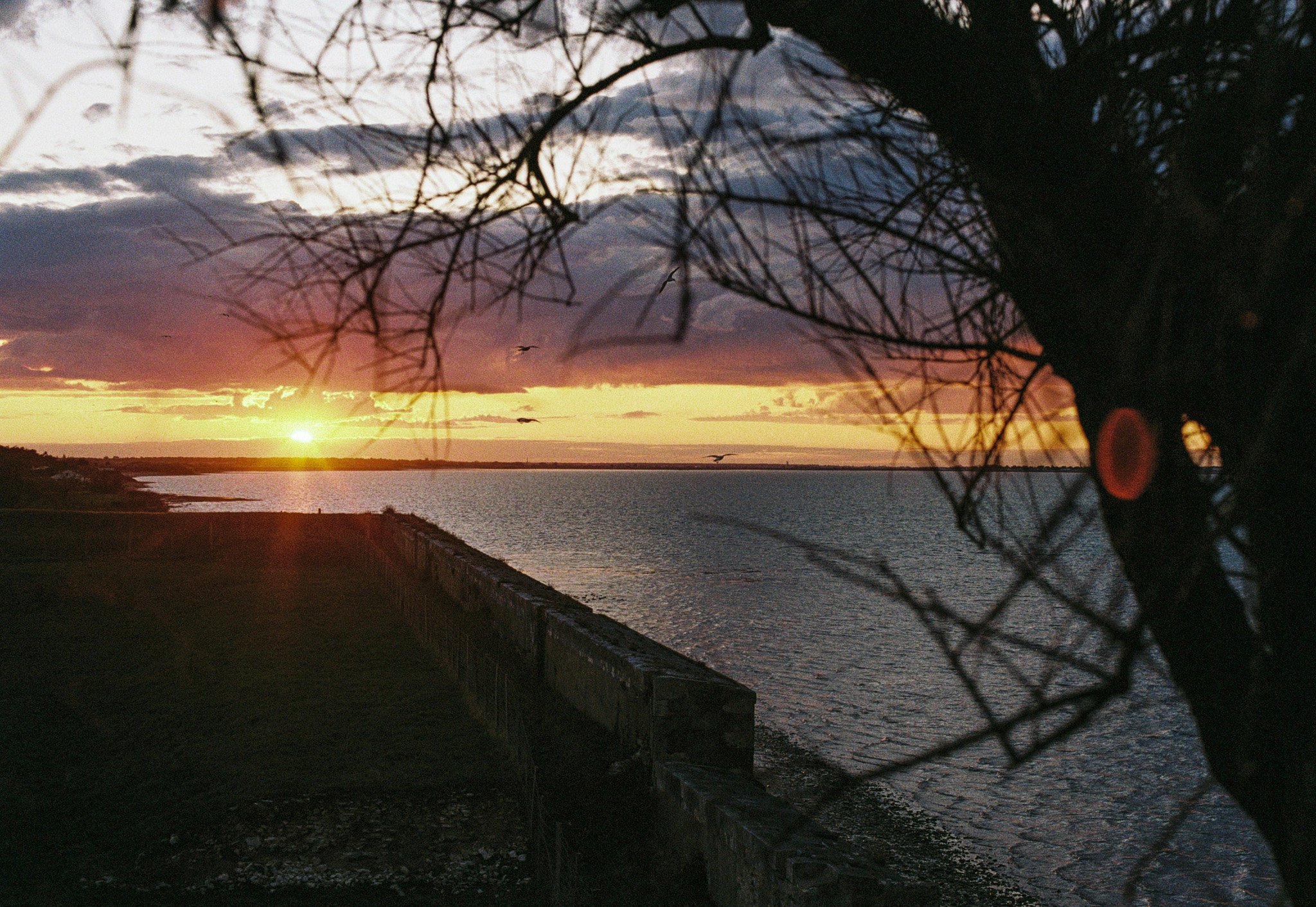 Yoann Buetas-125.jpg