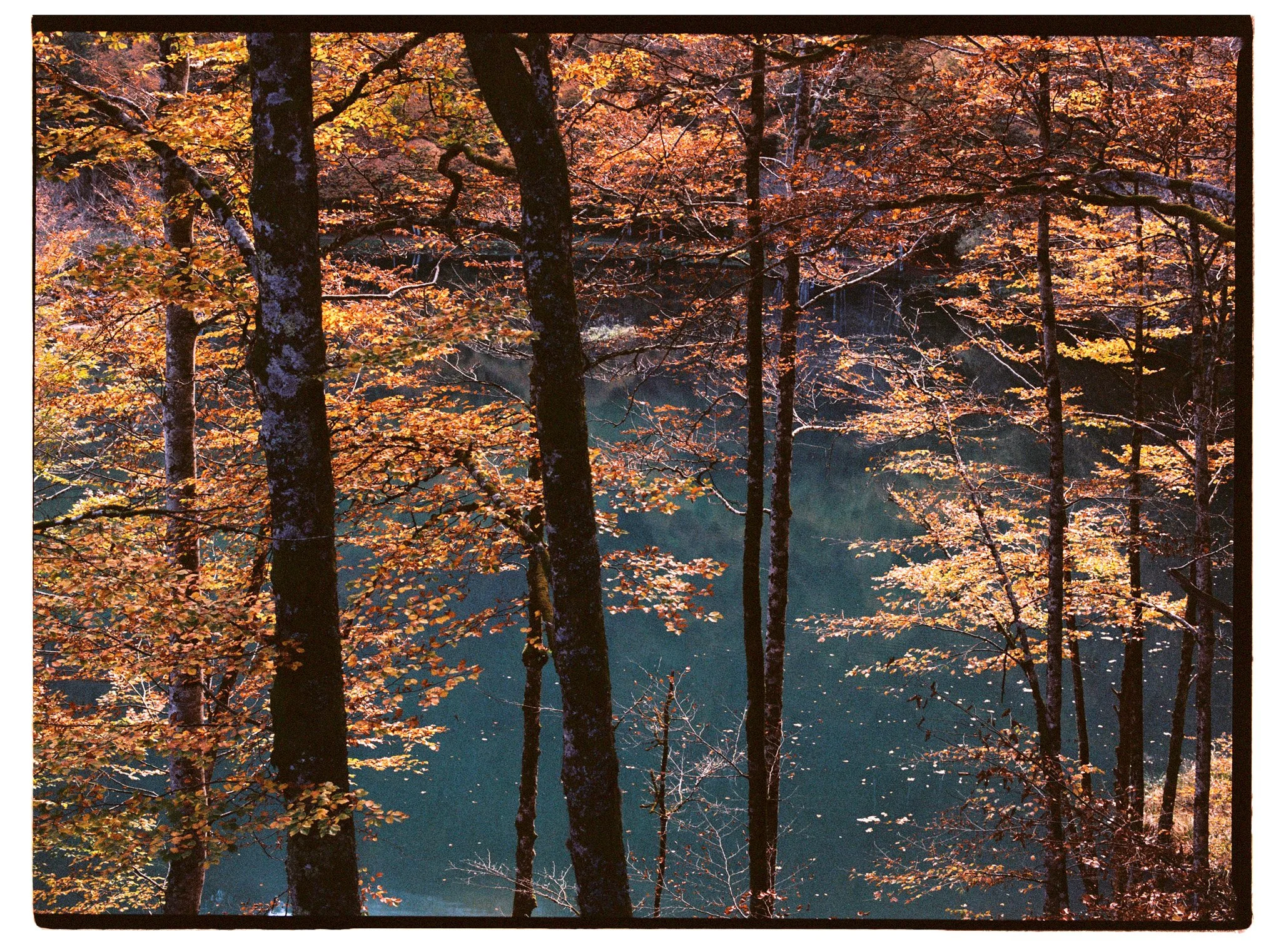AUTUMN_WINTER_2425_0038.jpg