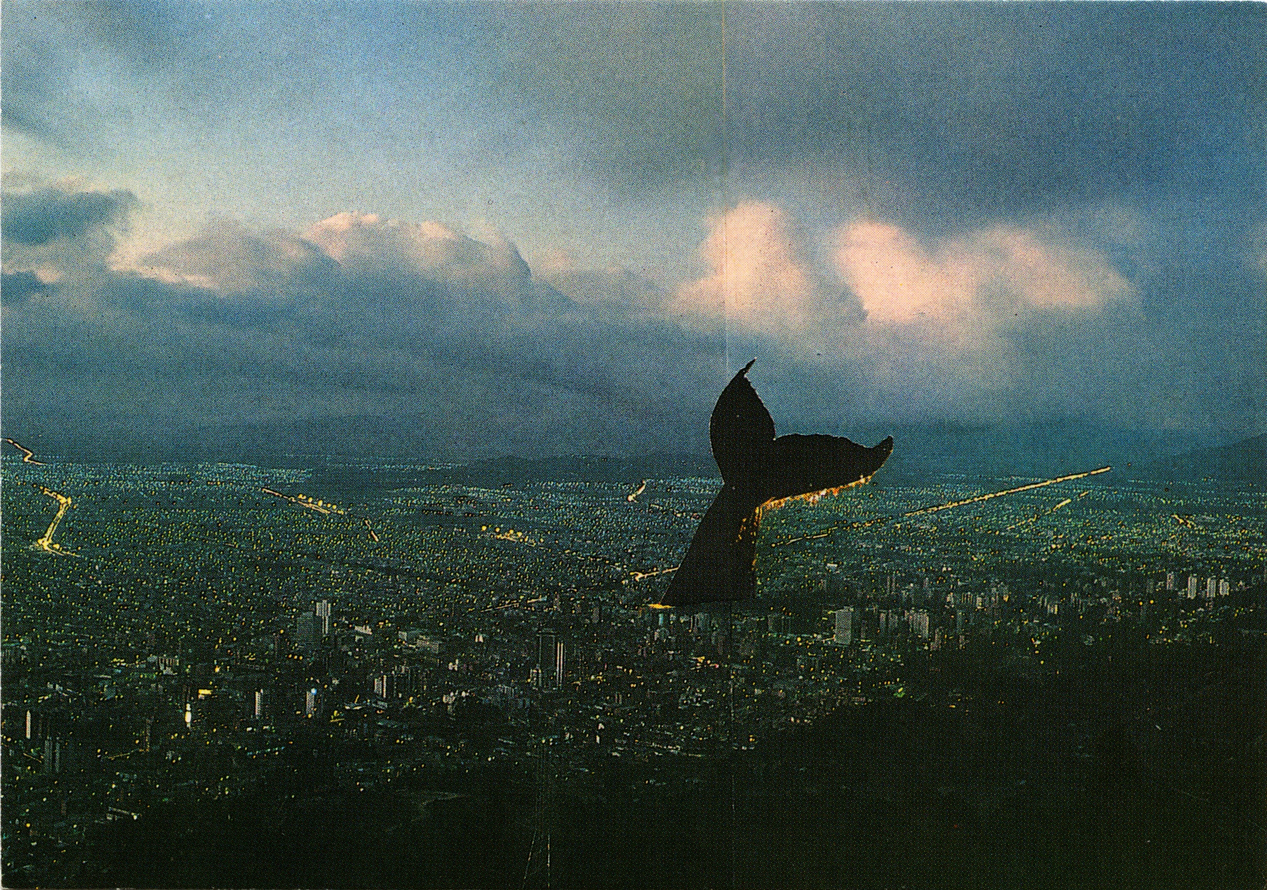 Ballena Bogota 2.jpg