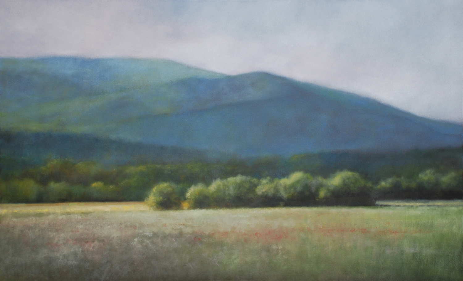 Poppy Field