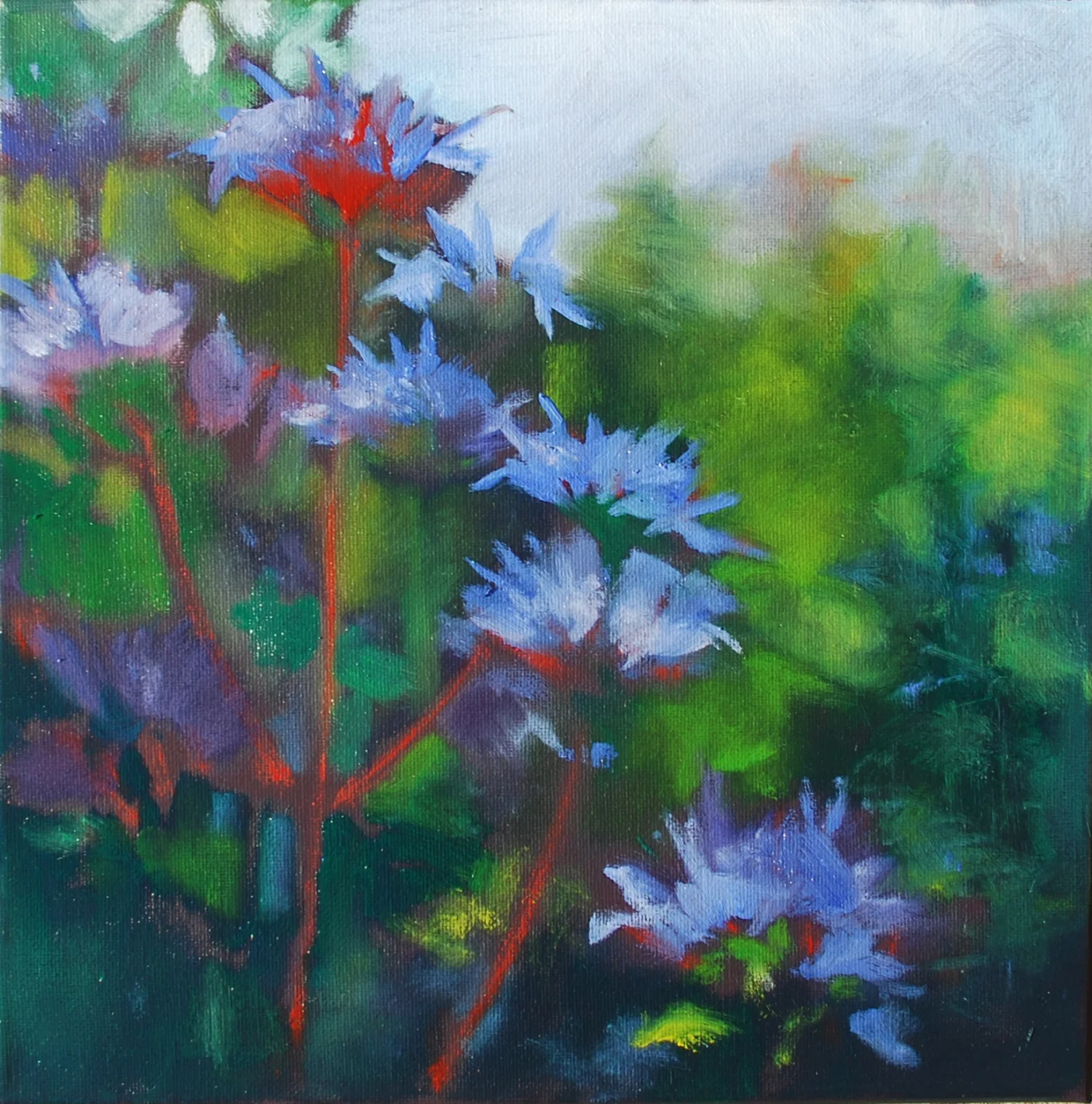 Bee Balm