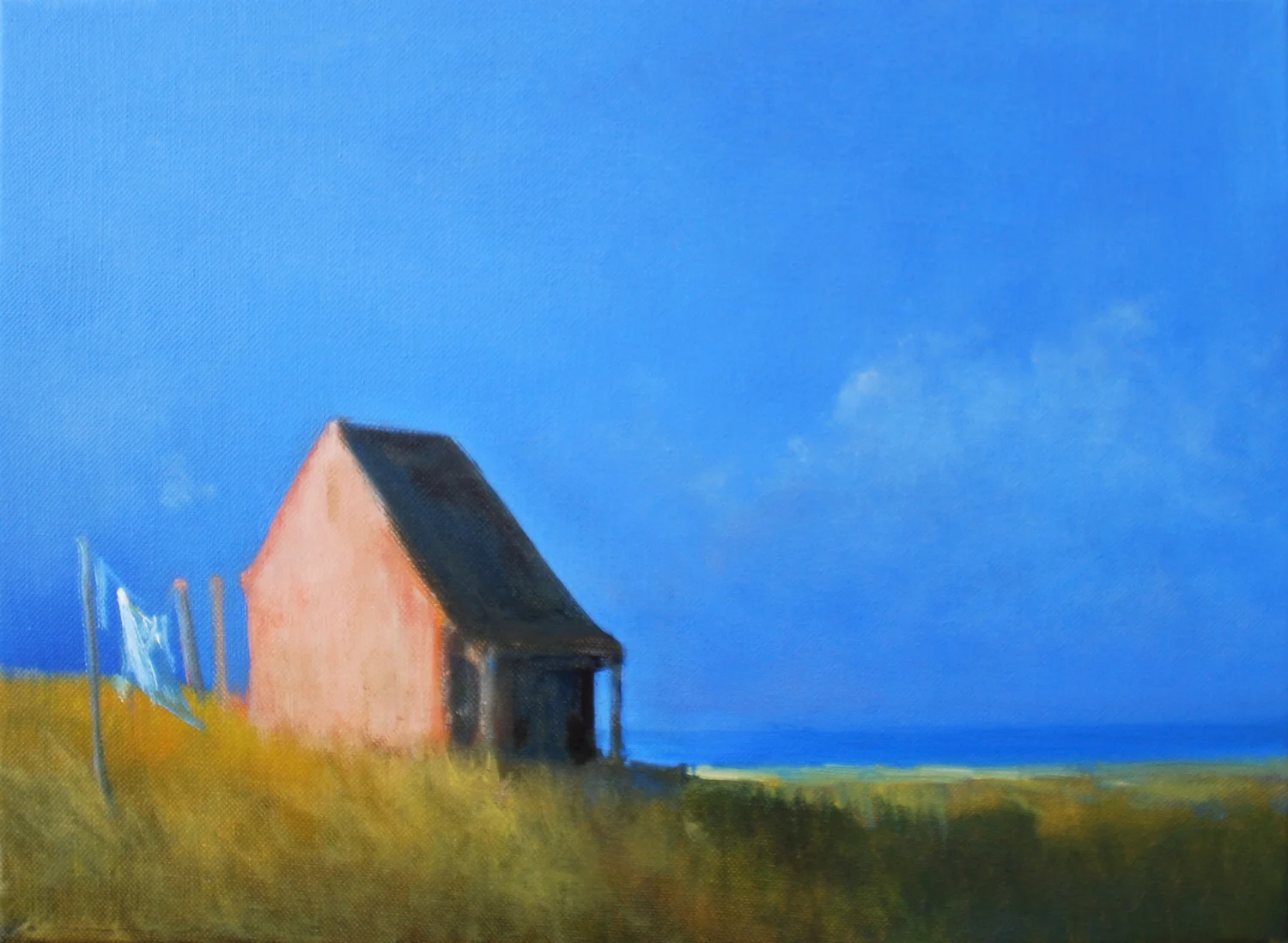 Beach Cottage and Dryline