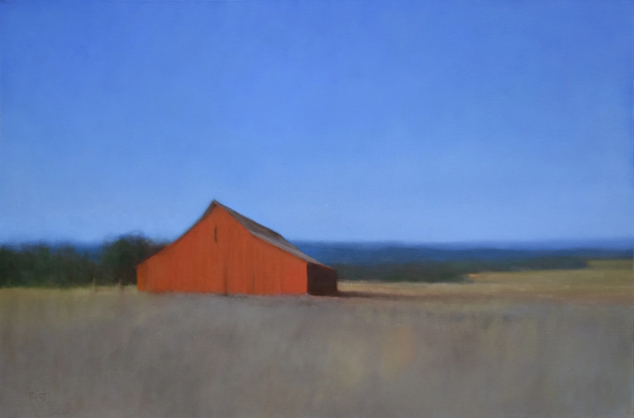 Prairie Morning