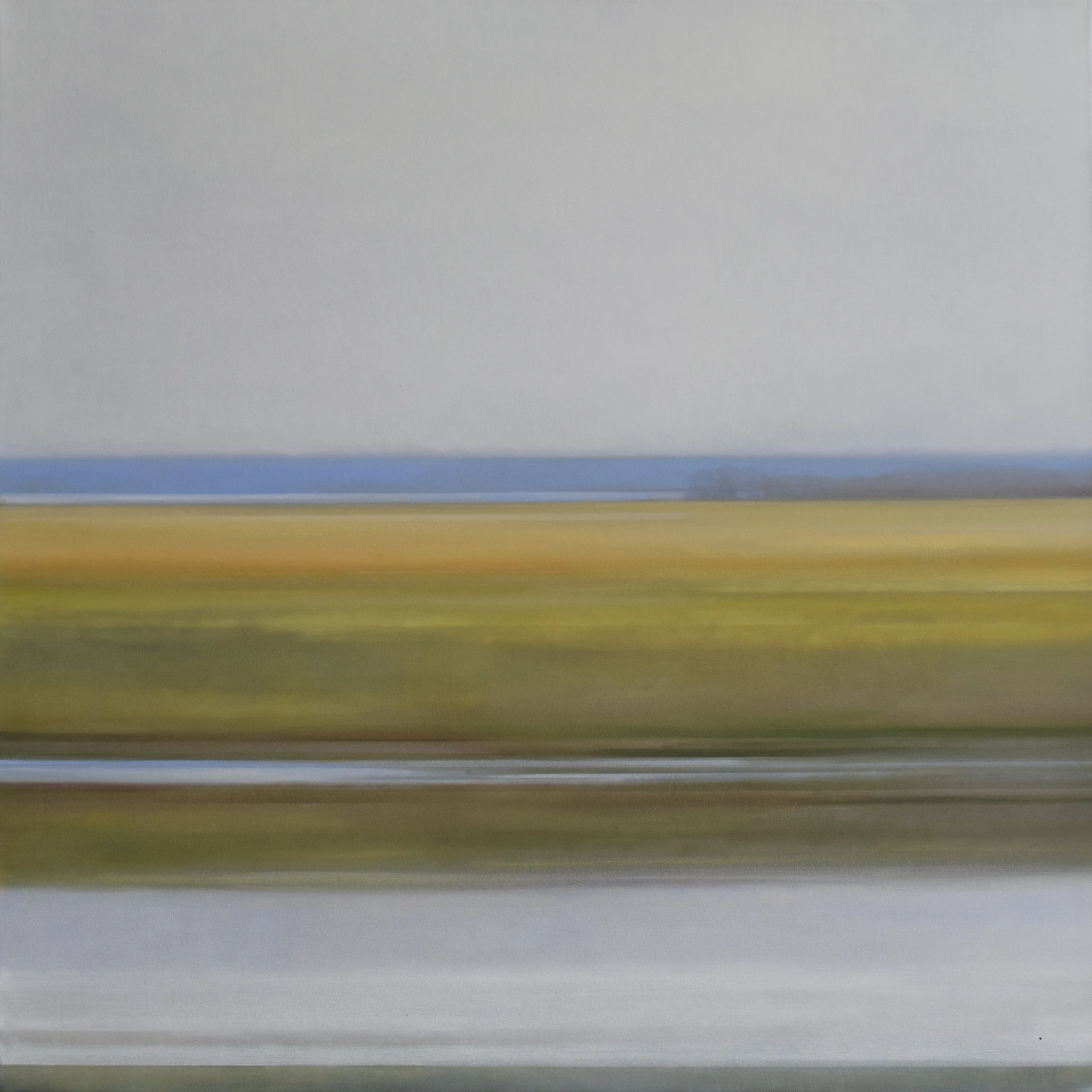 "Summer Marshes. Horizons 13"