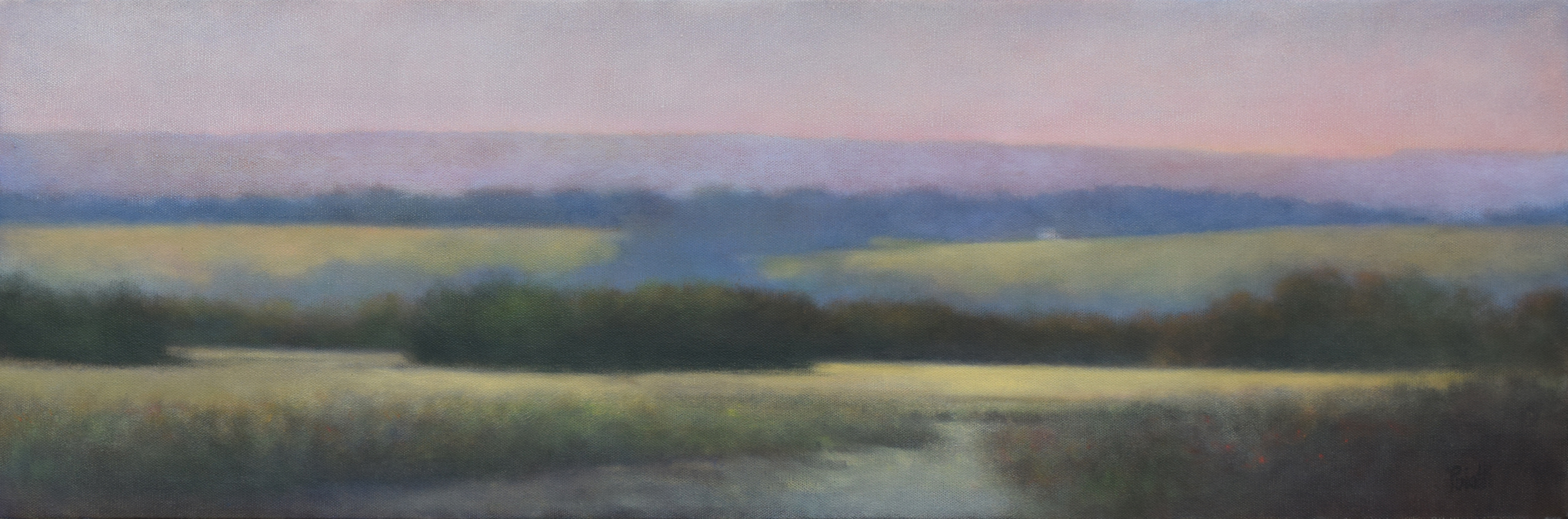 Syracuse Summer Haze
