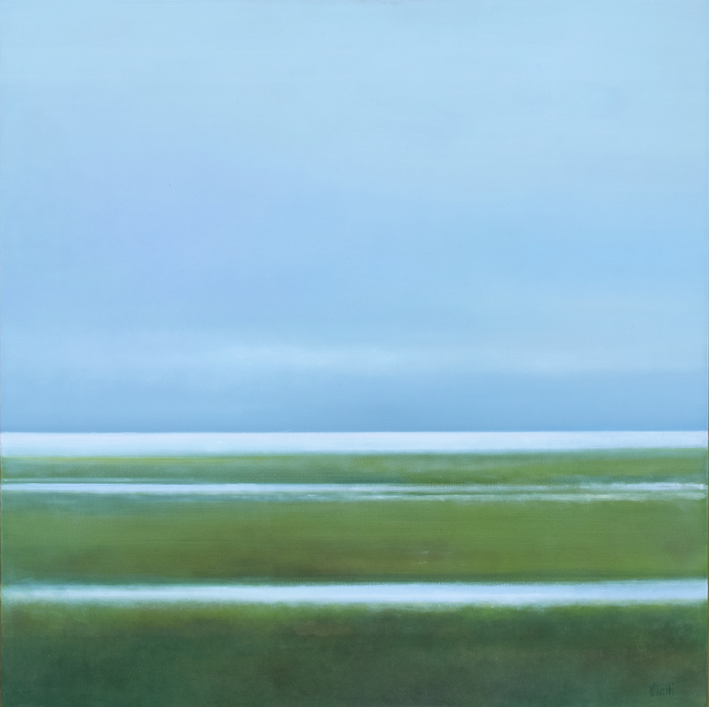Marshes. Horizon 11