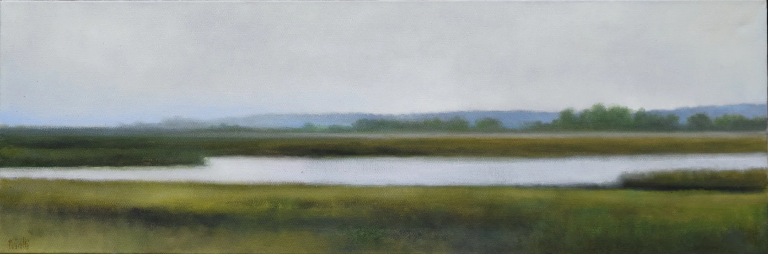 Marshes