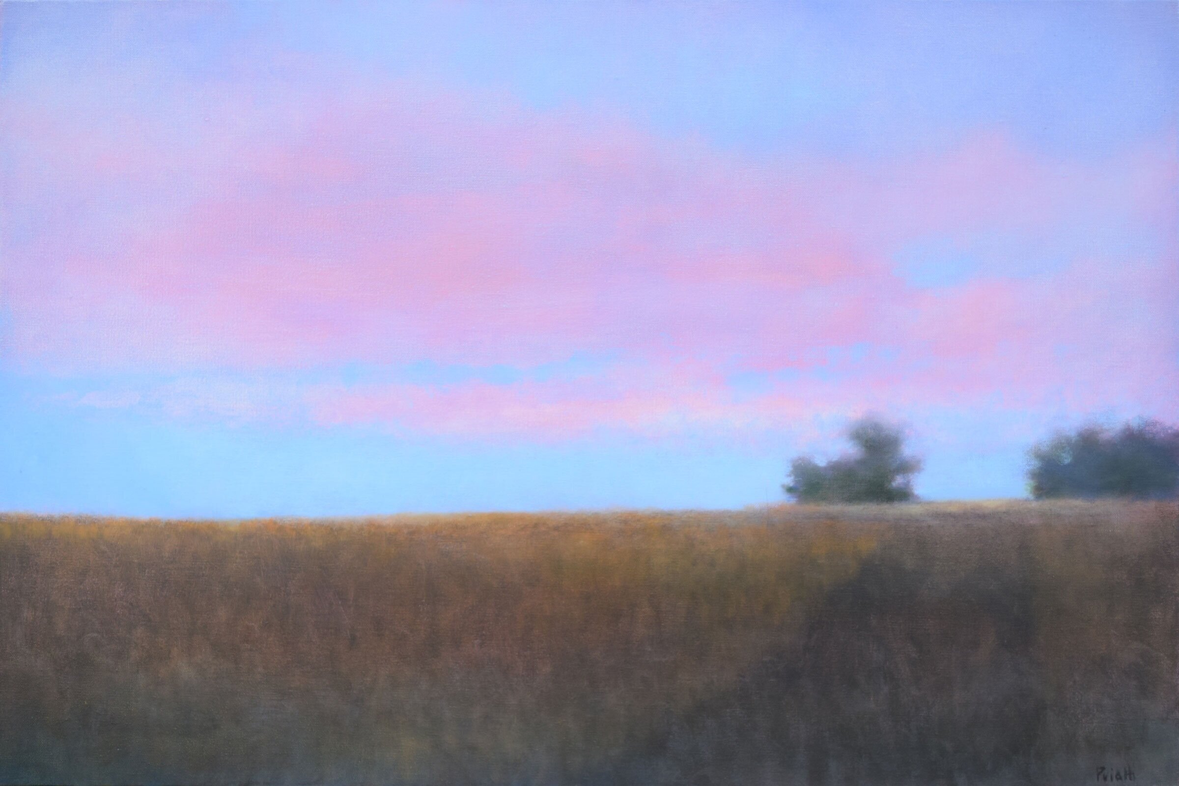Between Two Fields