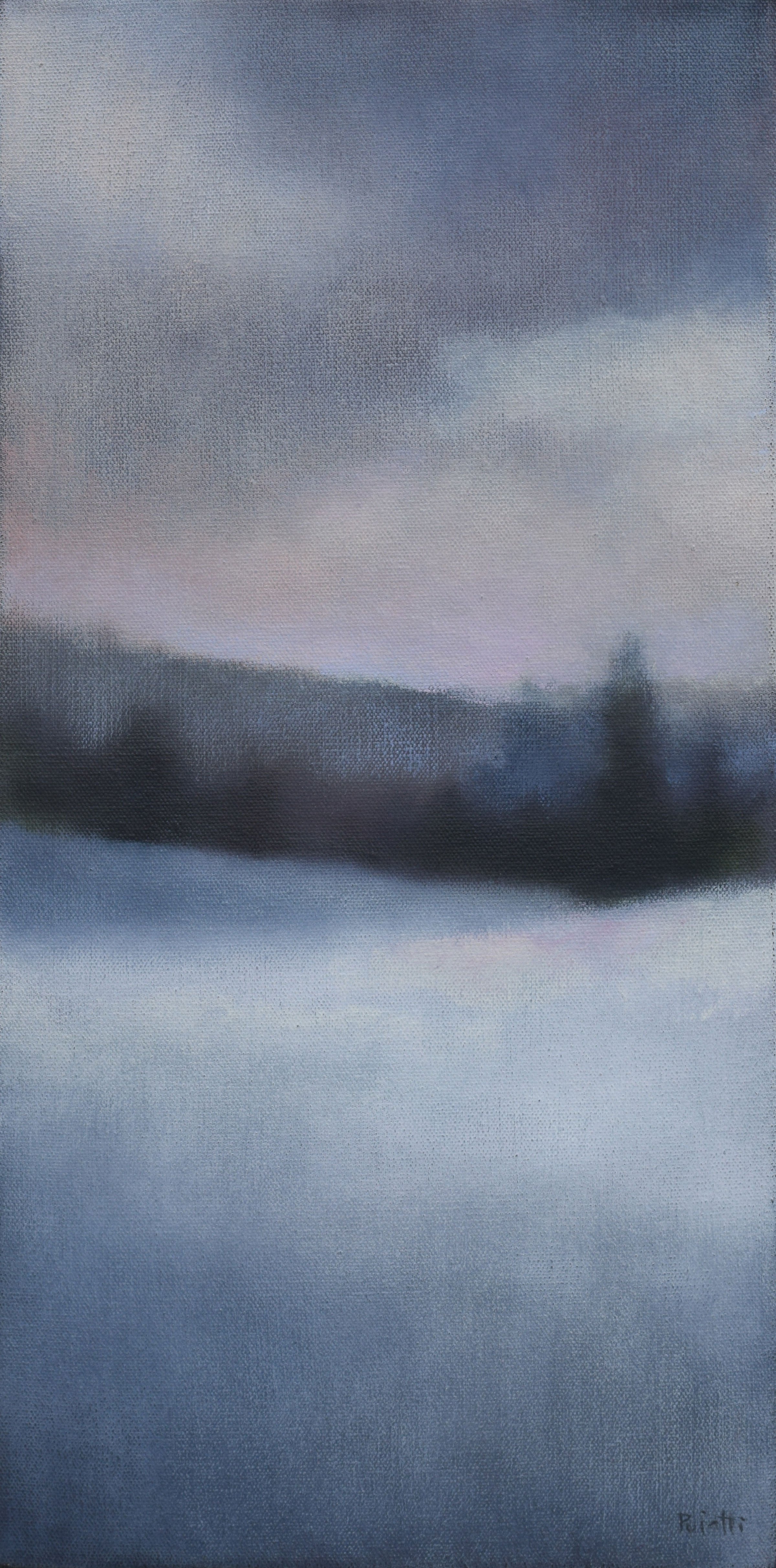 Snowfall 20 x 10 inches