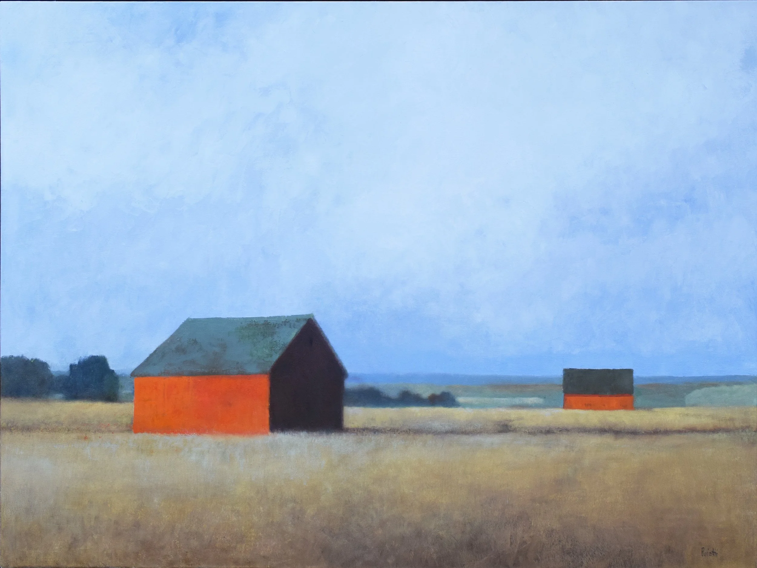 Sentinels 36x48 web.jpg