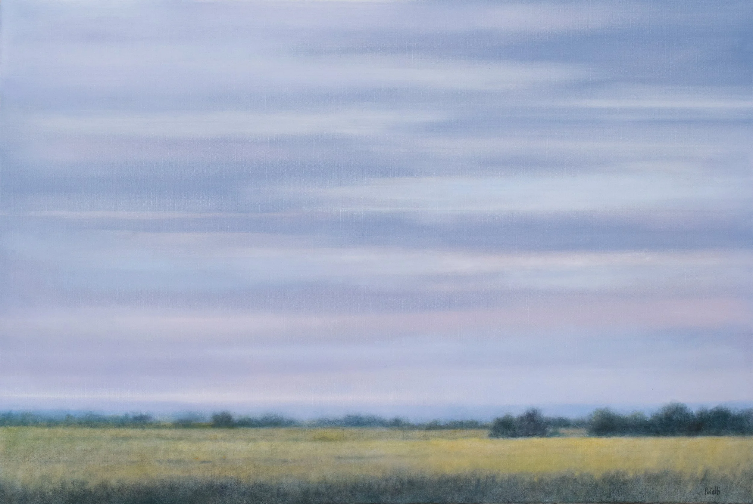 summer, fields and mountains web.jpg