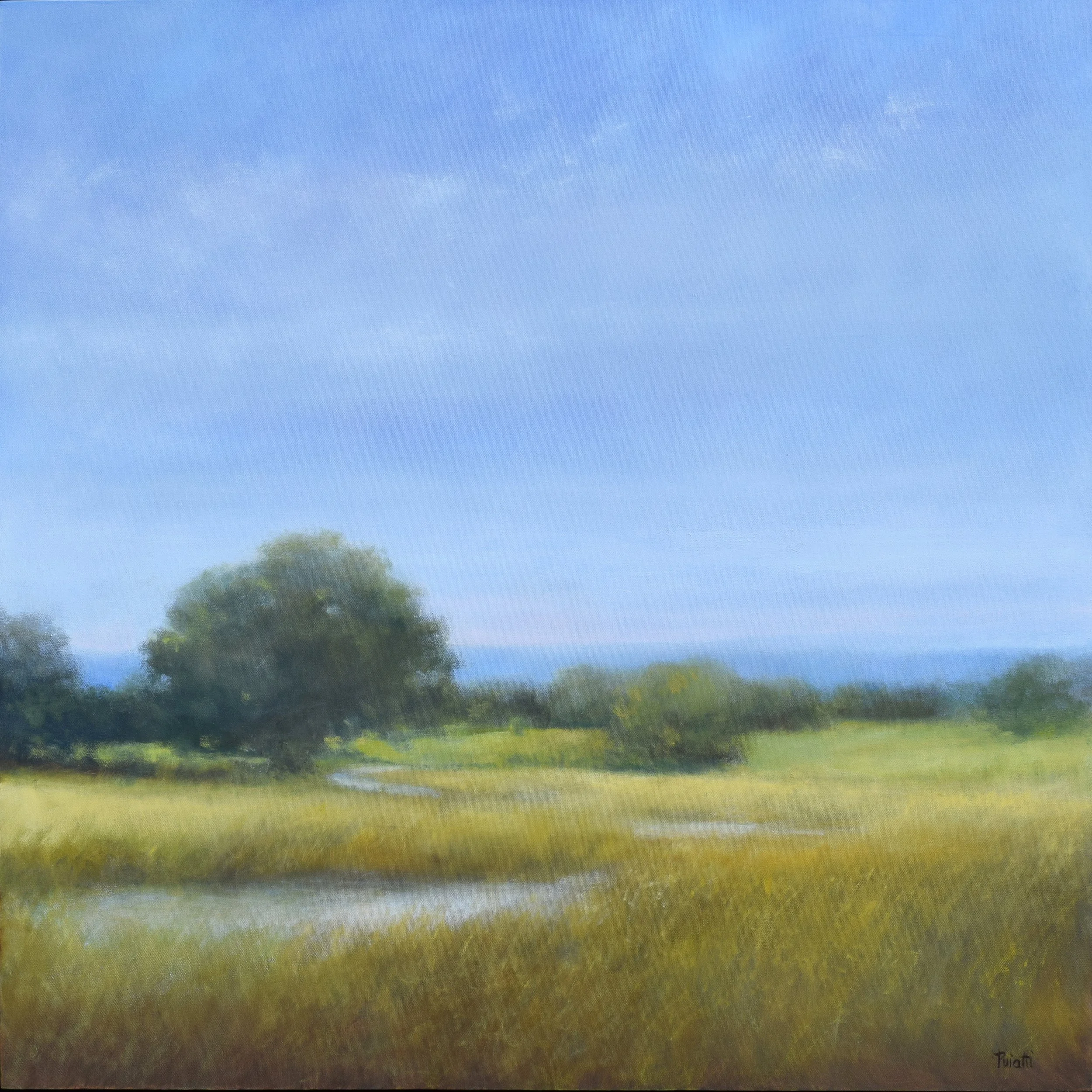 A Path Meant for Wandering web.jpg