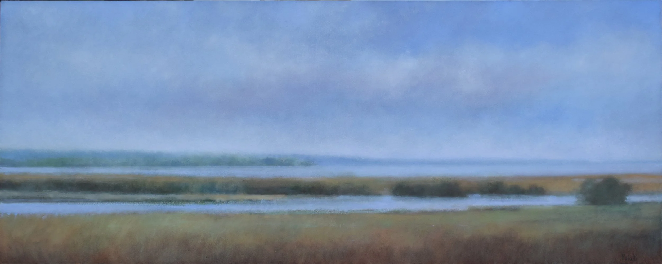 summer marshes web.jpg