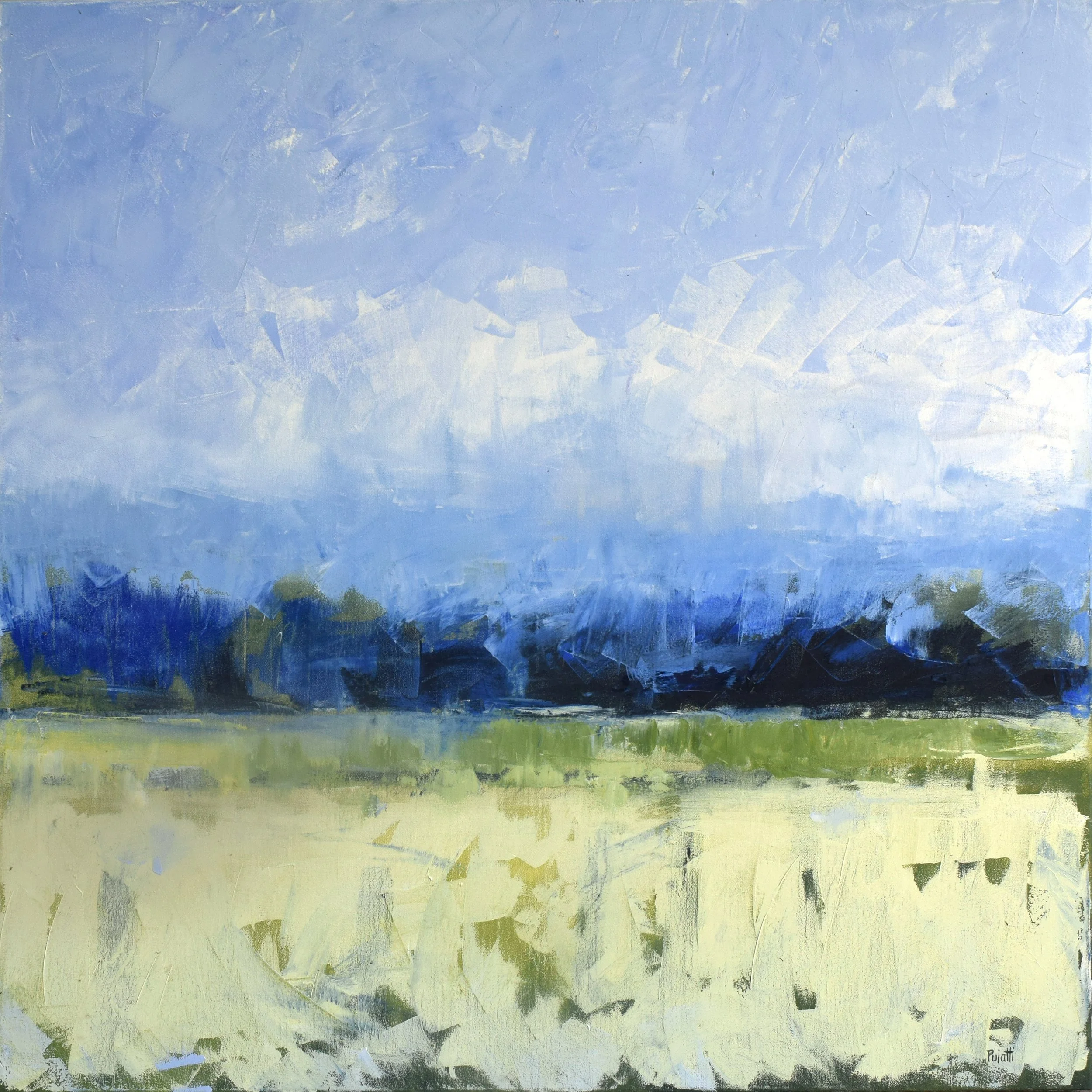 nosara to san jose web.jpg