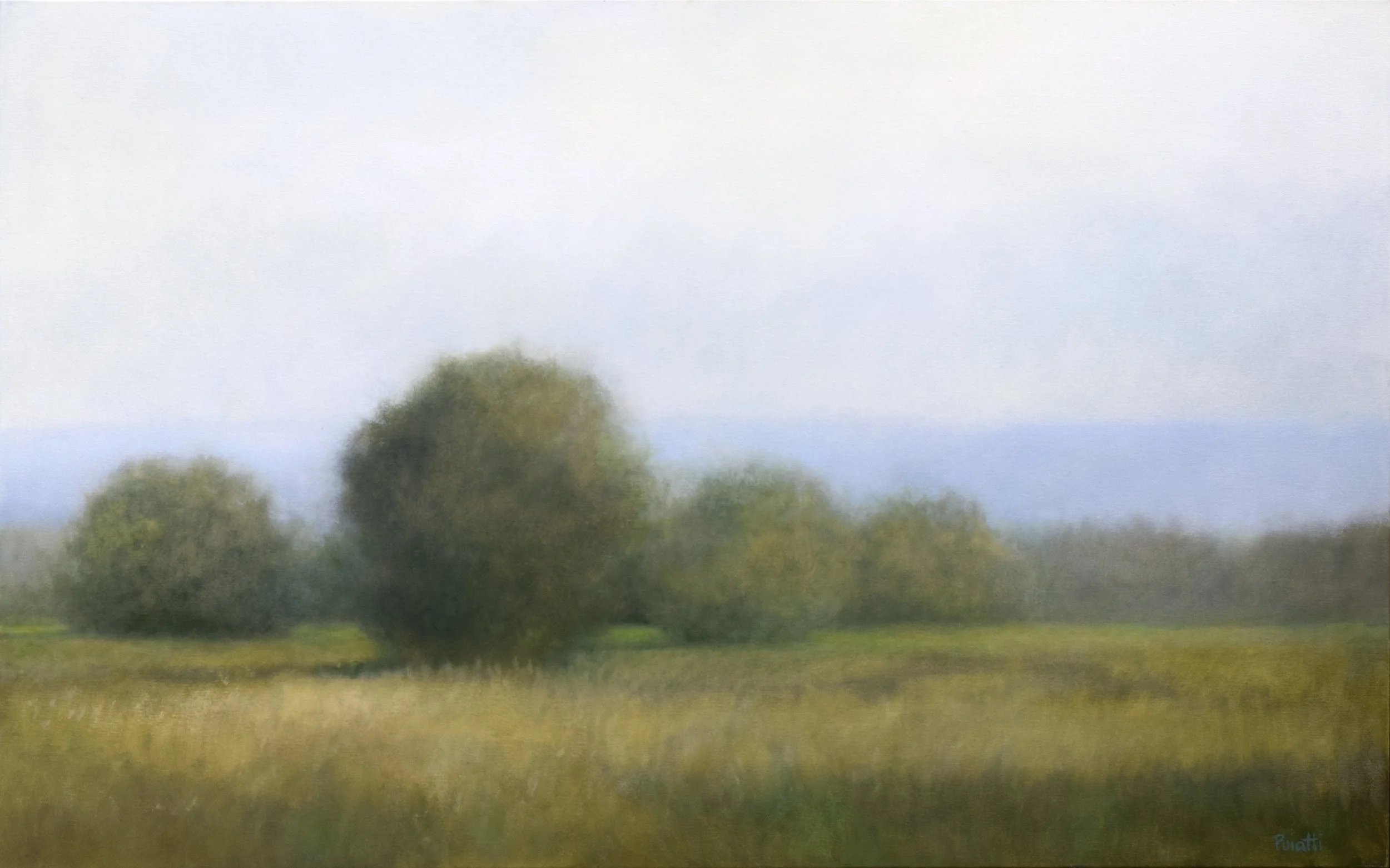 Spring Meadow web.jpg