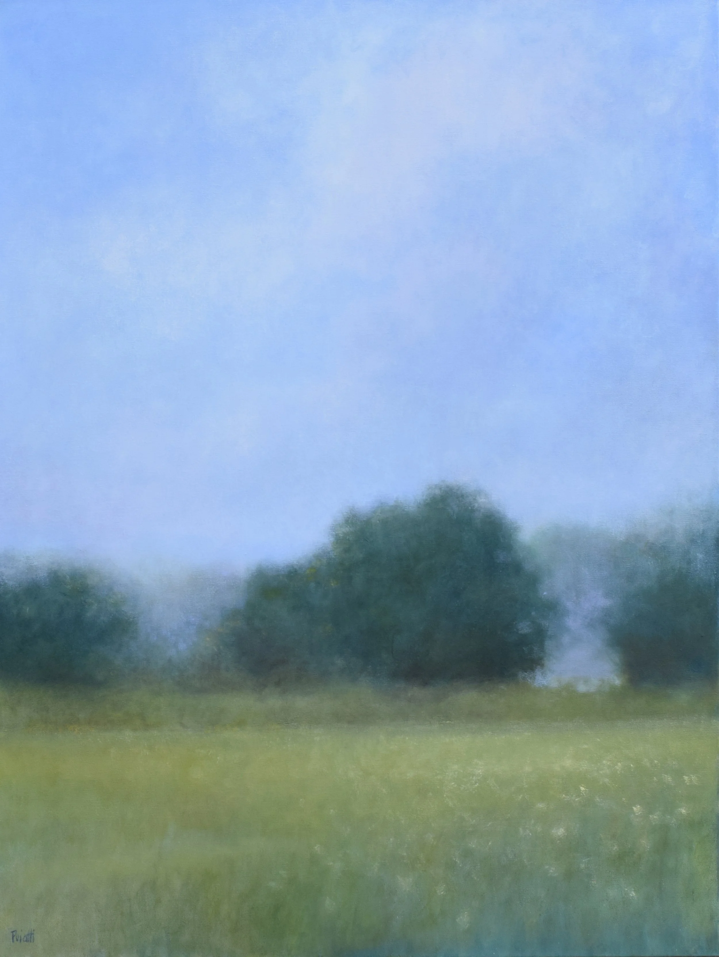 Field in Mist web.jpg