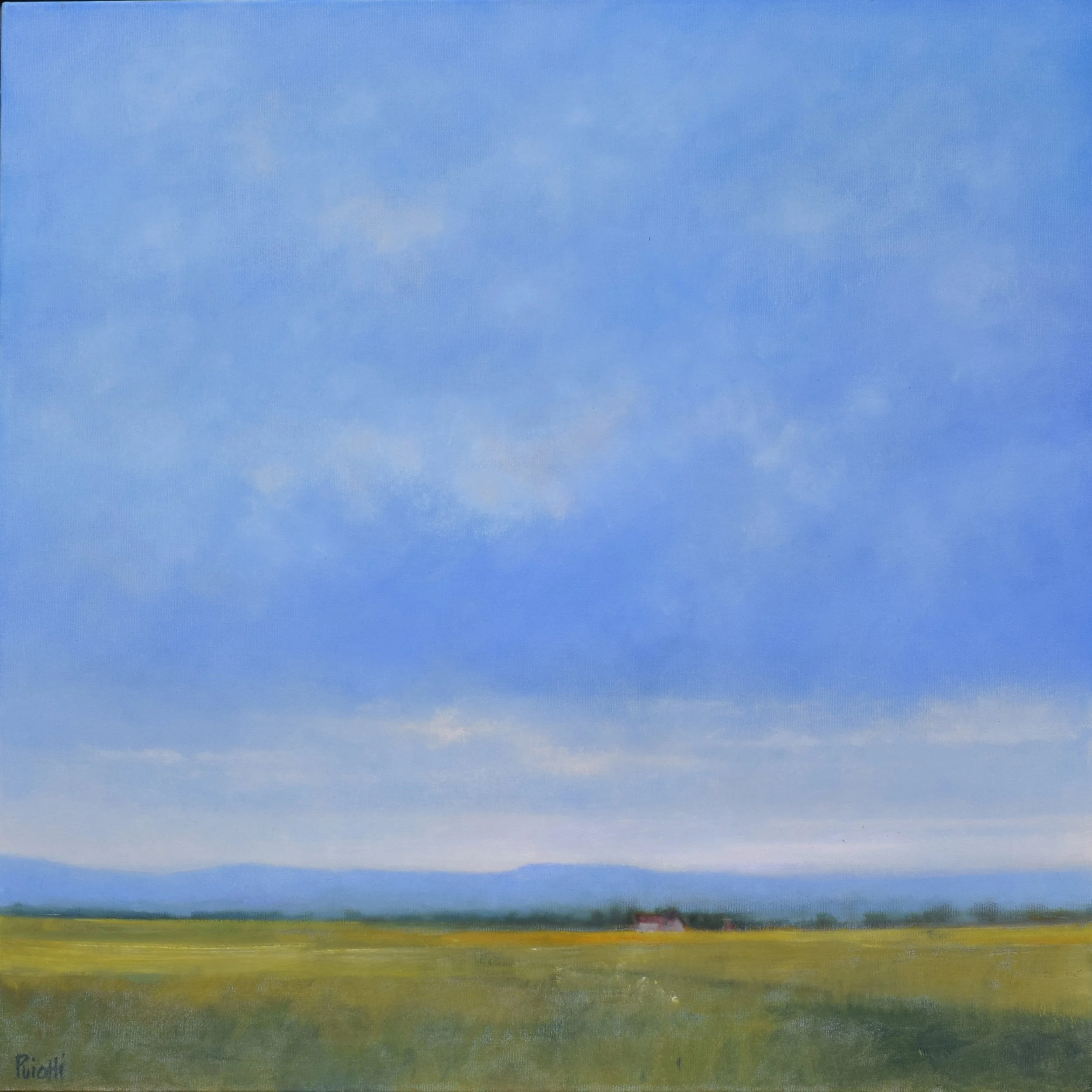 Big Sky, Great Plain web.jpg