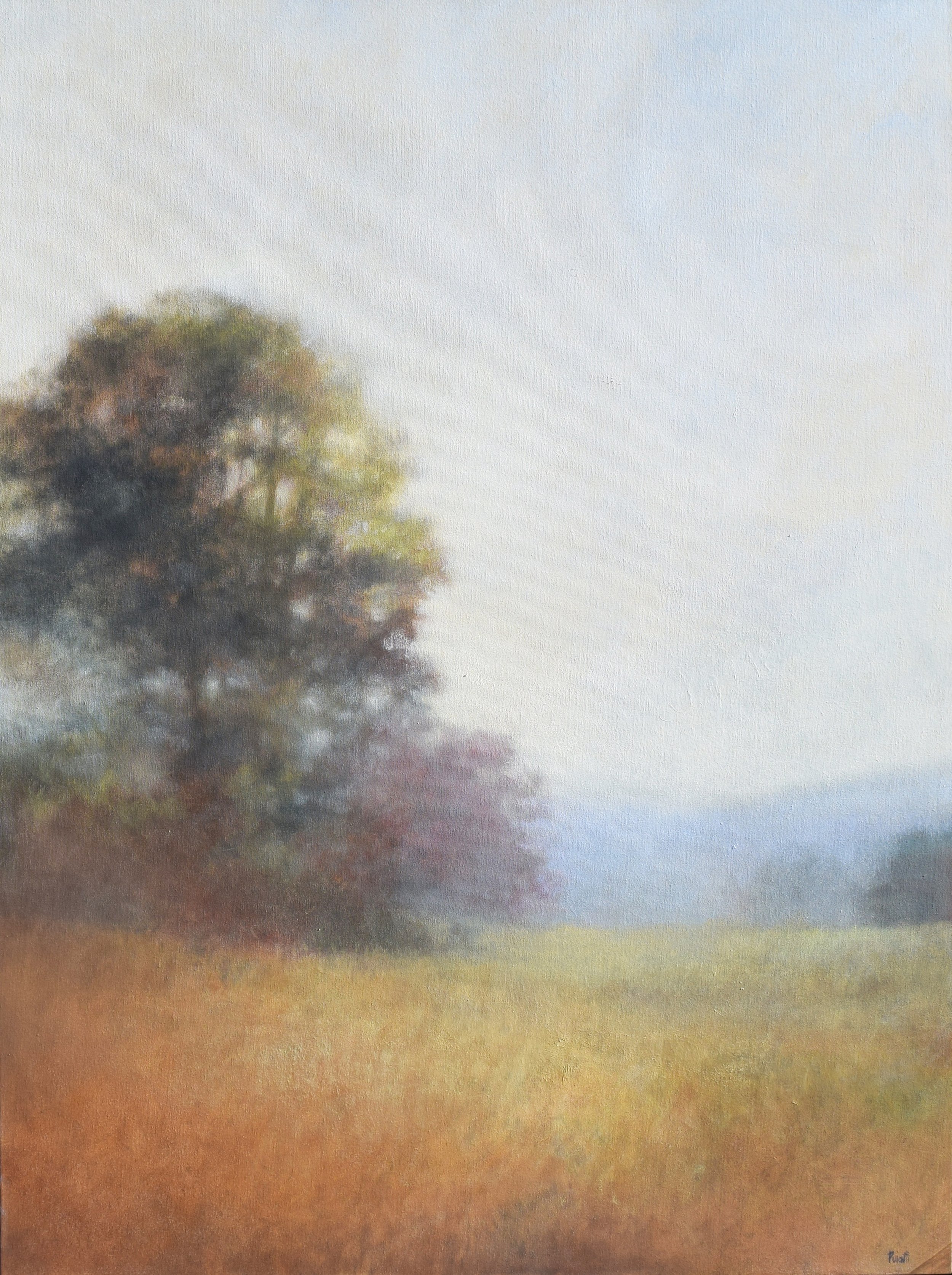 autumn light web.jpg