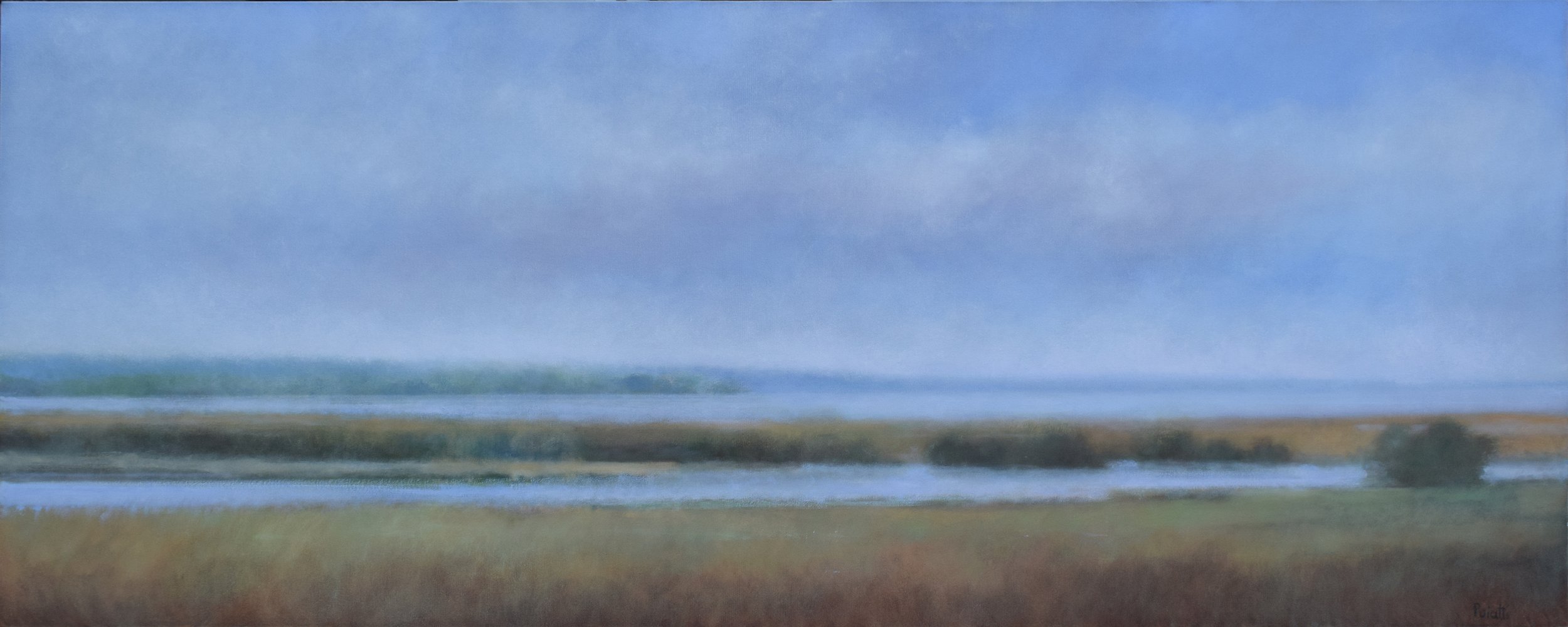 summer marshes web.jpg