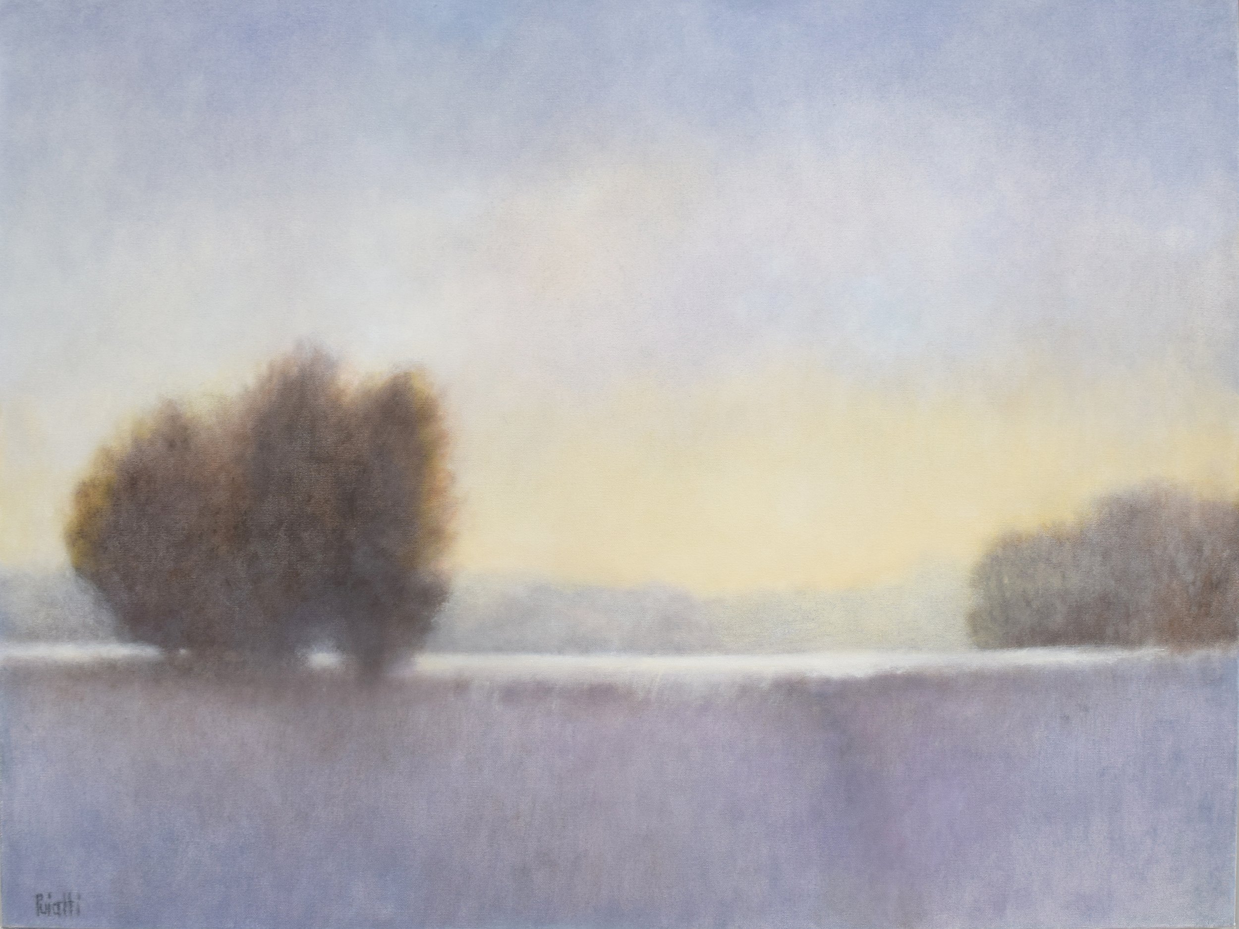 warmed by the sun web.jpg