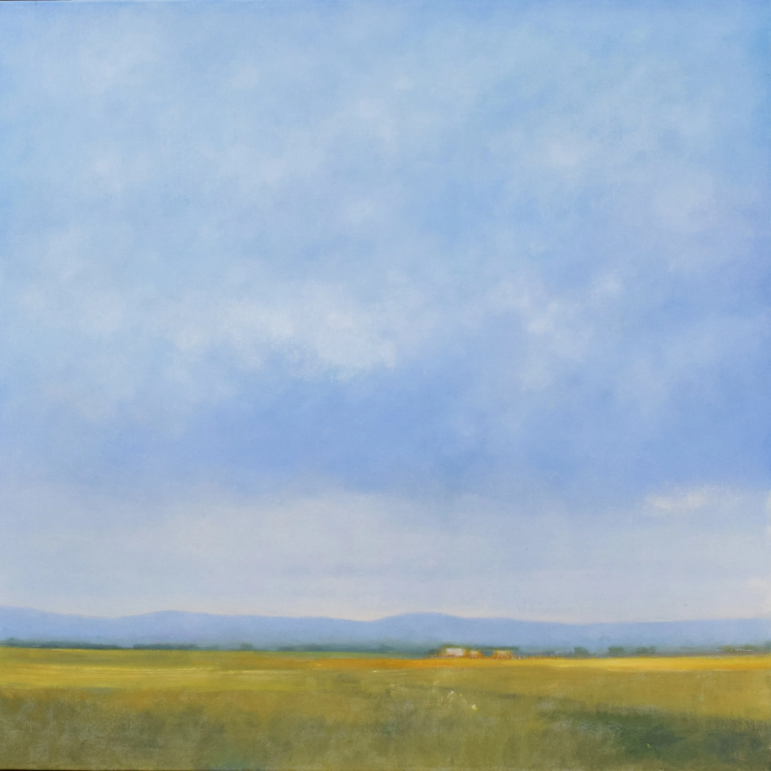 summer gold II web.jpg