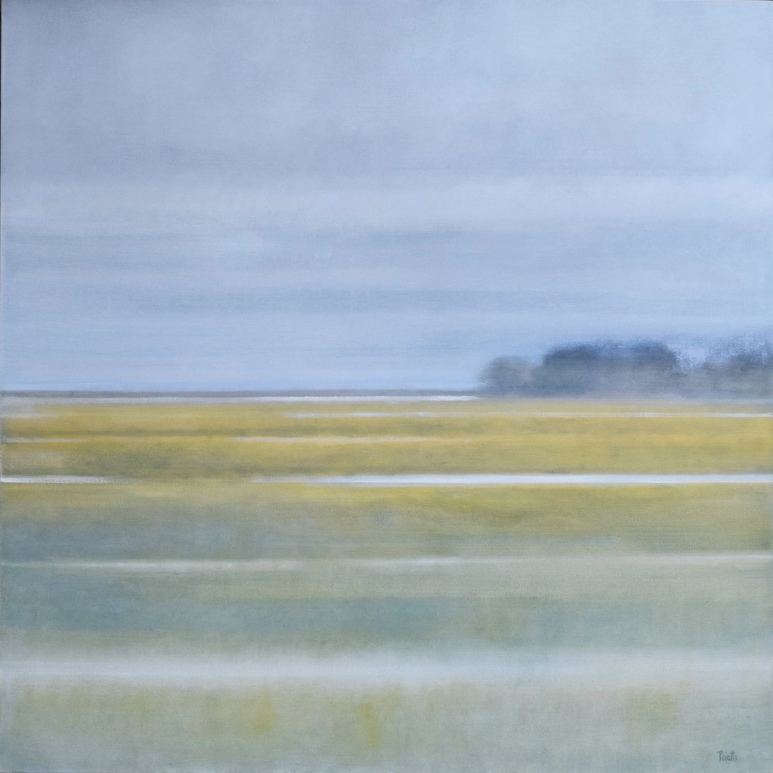 Fall Horizon 72dpi.jpg