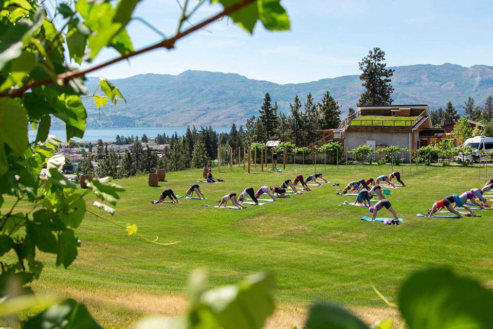 yoga through vines good file.jpg