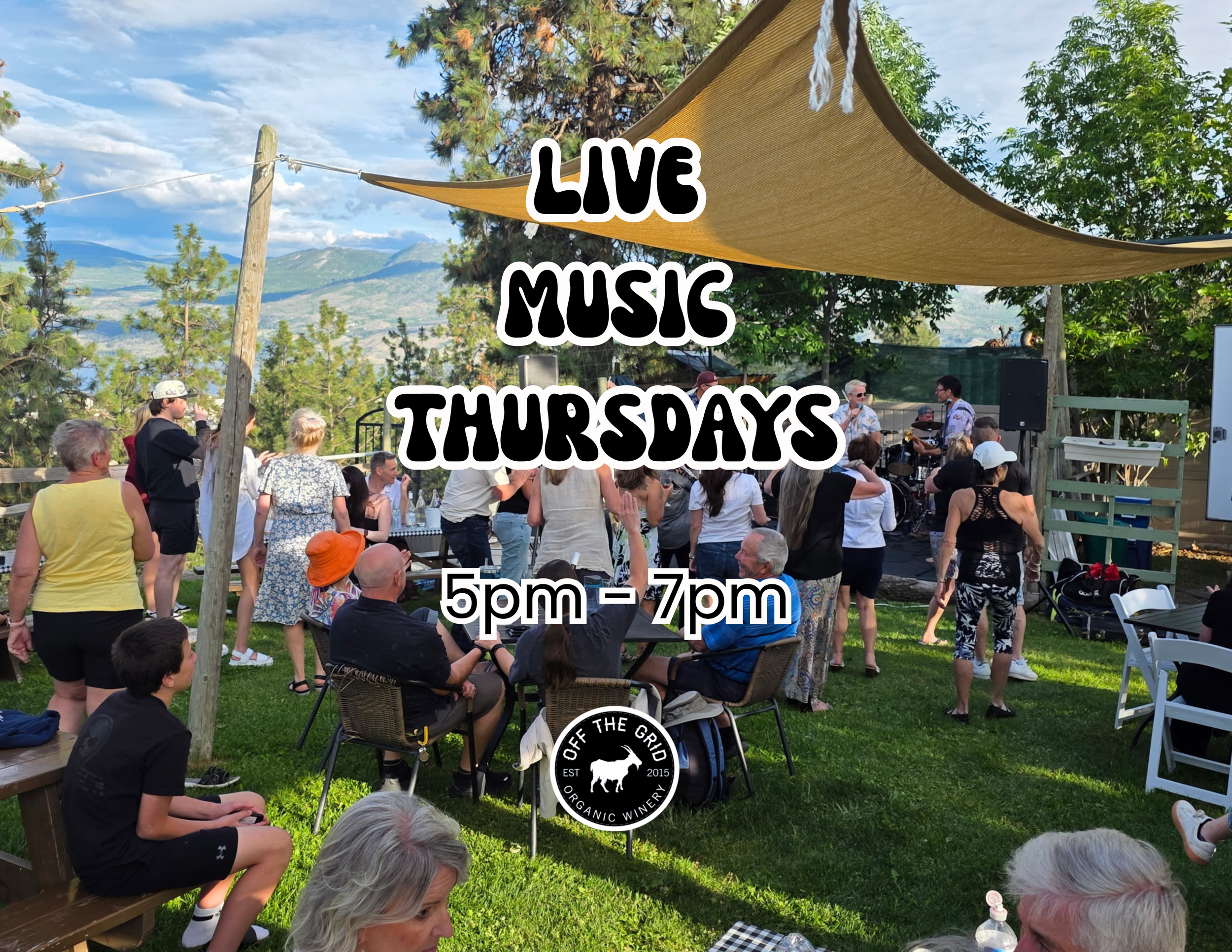 live music, music, wine, dancing, events
