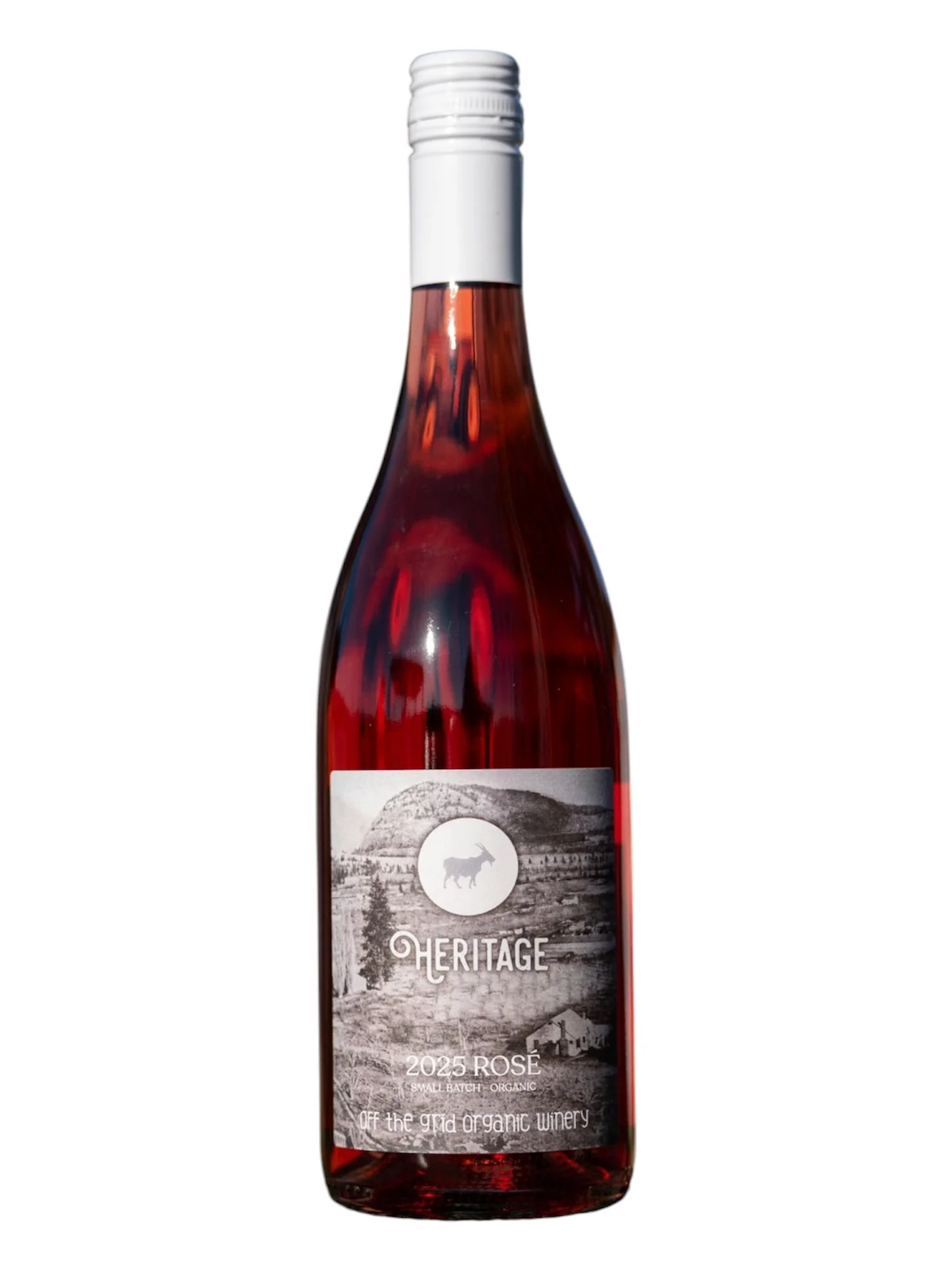 25 heritage rose.JPG