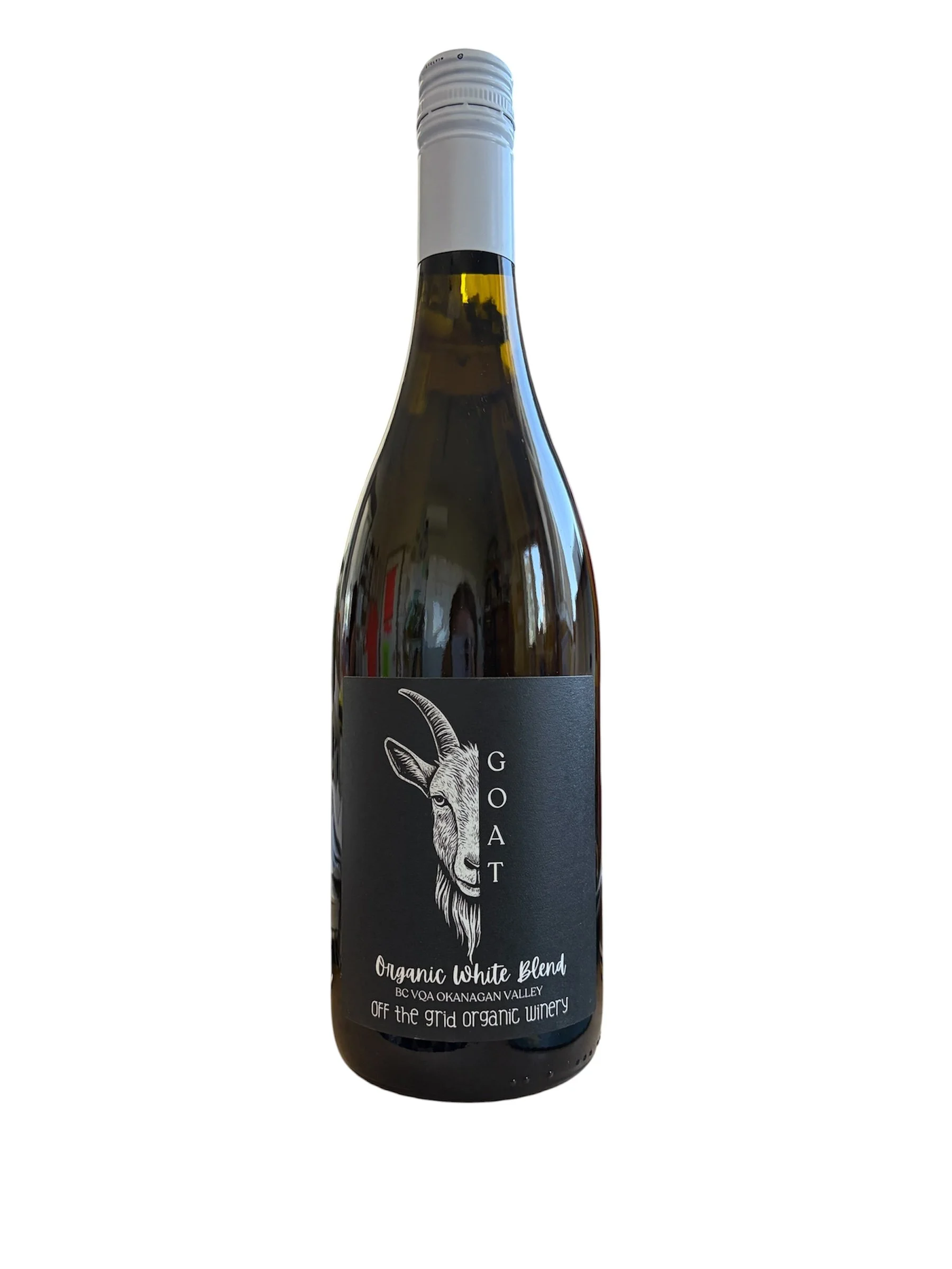 goat white.JPG