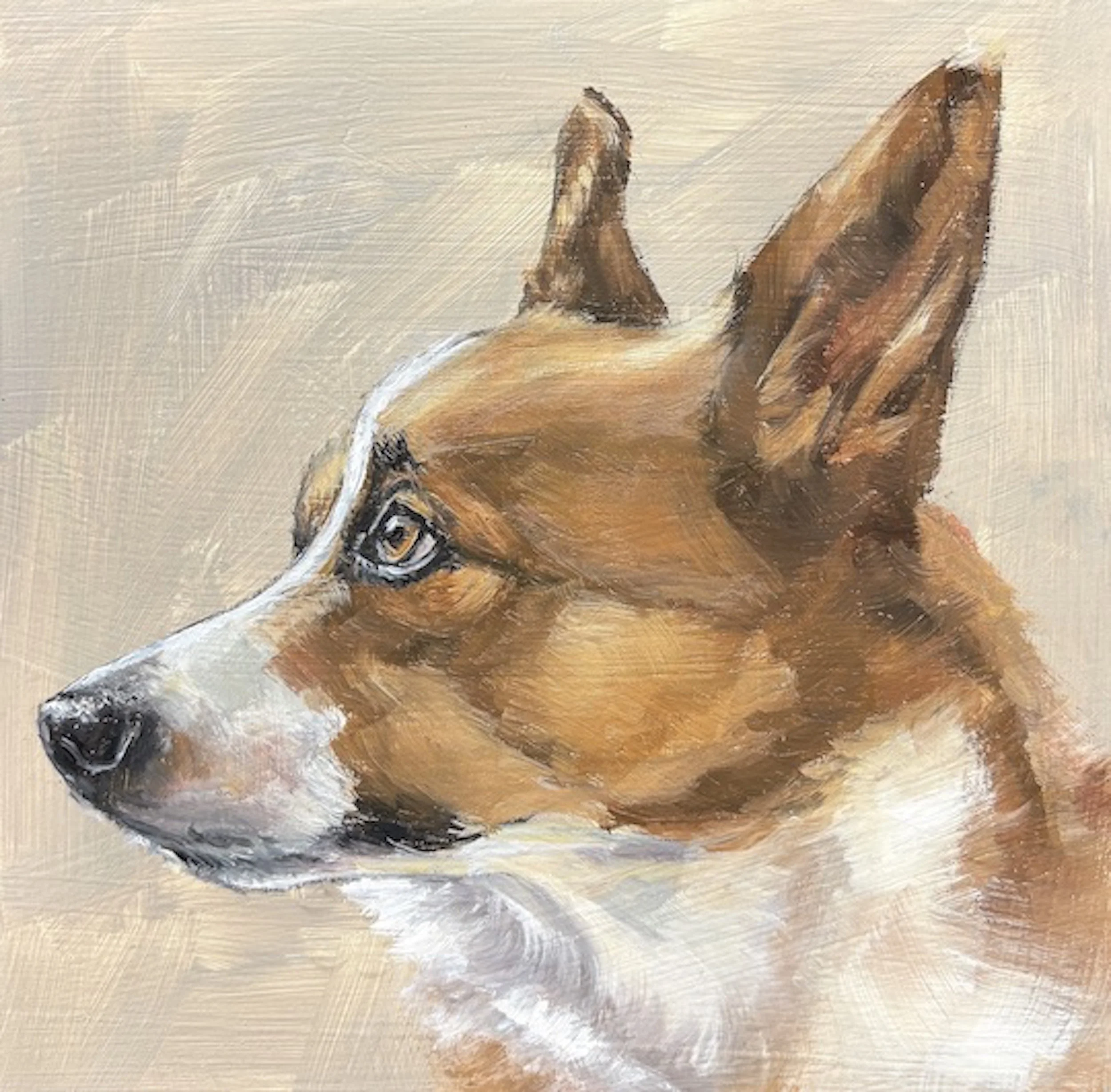 Kozak, Kimmel Miss P.jpeg