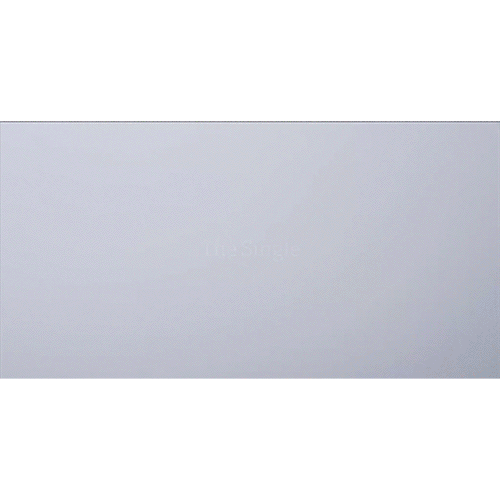 WhiteDetail.gif
