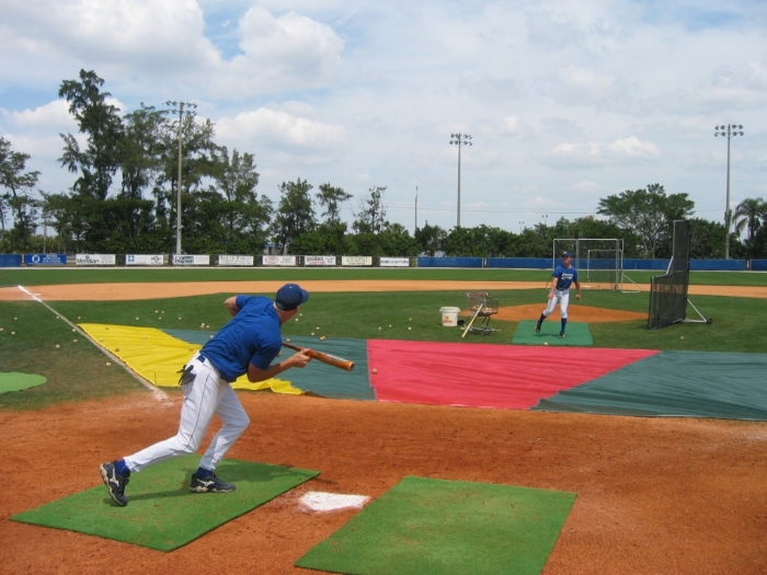 Bunt Zone(r) Infield Protector-Trainer.JPG