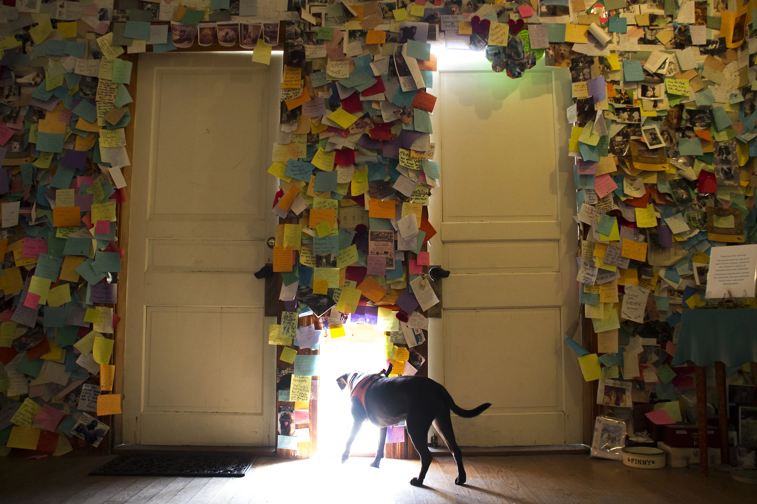 My dog, Coco, exits the Chapel using the doggie doorway, into the blinding white daylight