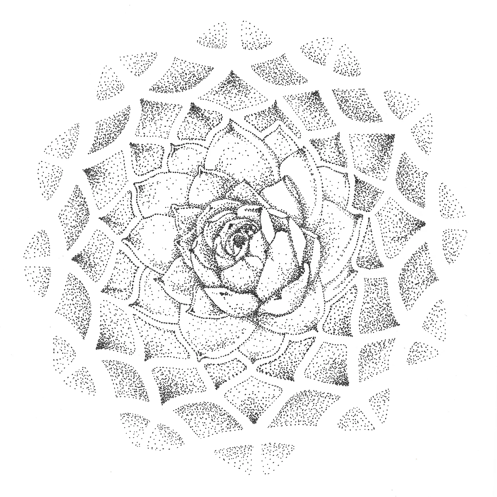 succ600_3_3x3.jpg