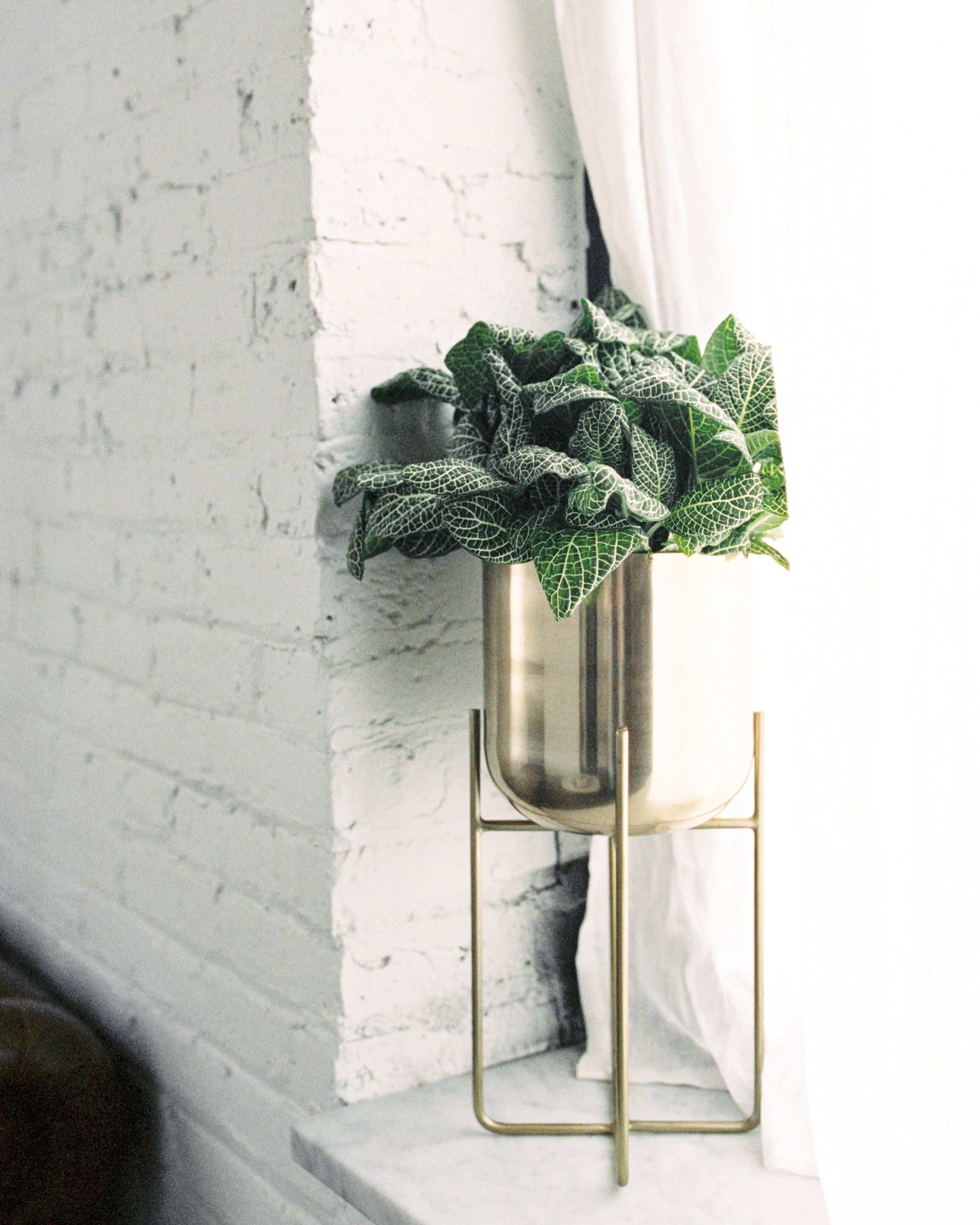 truegrace-styled-co251-45.jpg