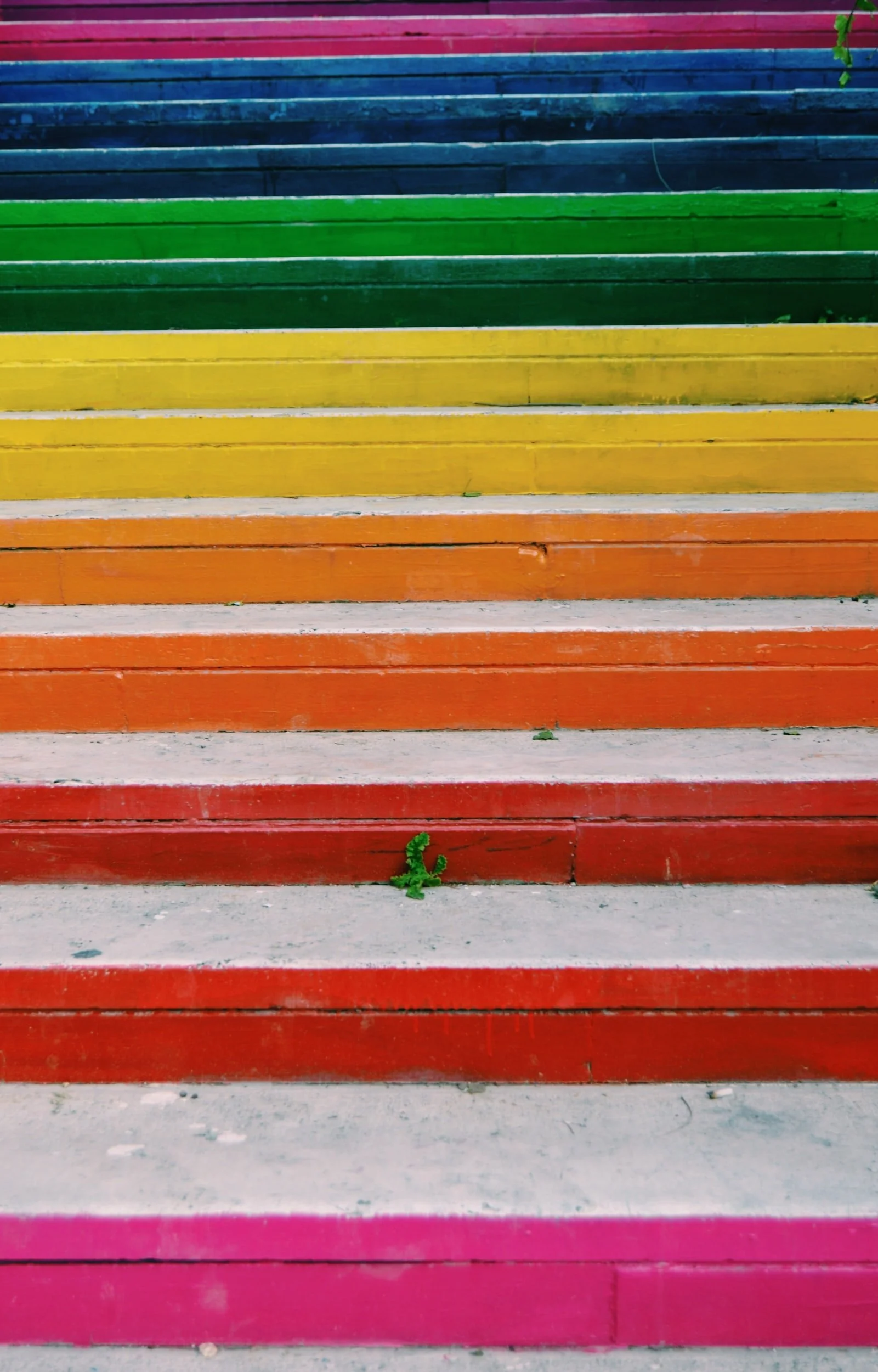 Outdoor steps painted in rainbow stripes with a small plant growing through a crack