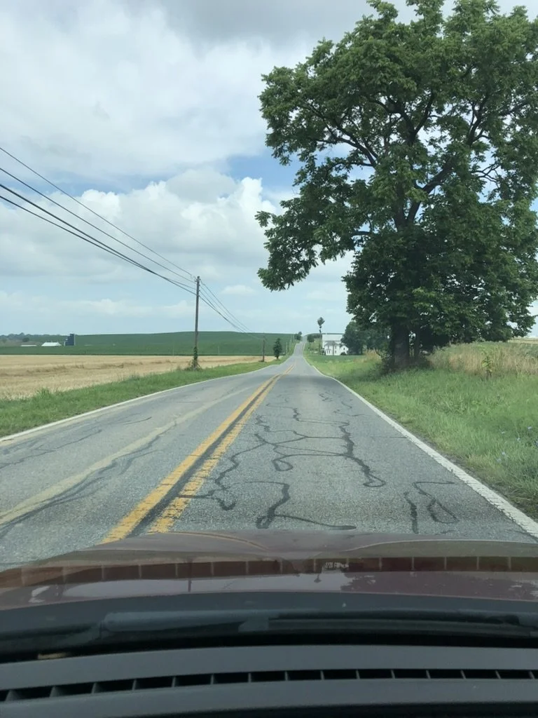 A large tree against open sky along a rural road in Washington County, Maryland