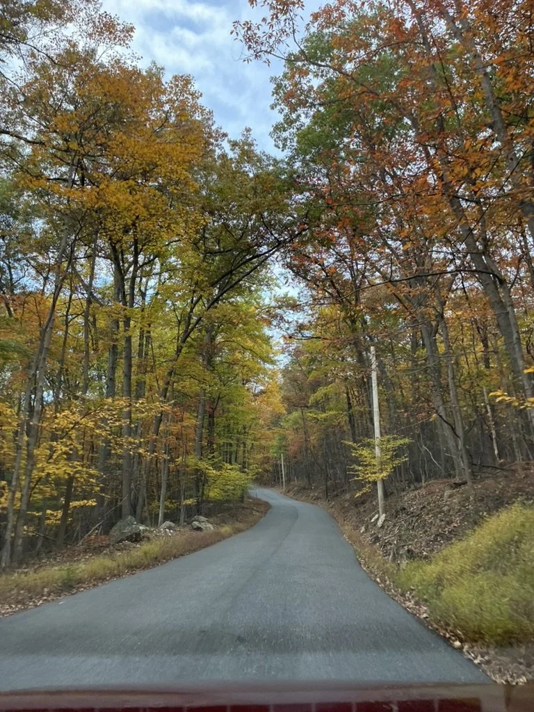 A country road winding through autumn woodland in rural Frederick County, Maryland
