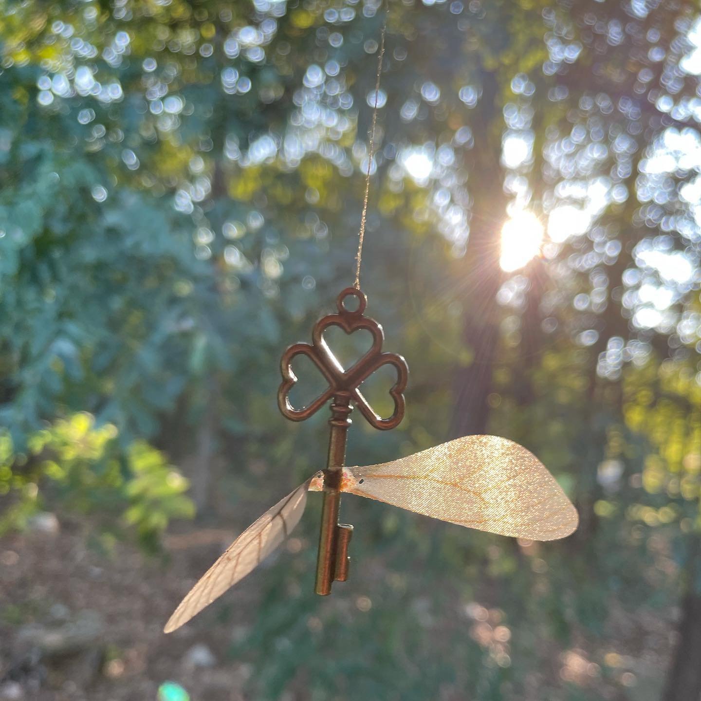 A decorative key with dragonfly wings hanging in sunlit woodland