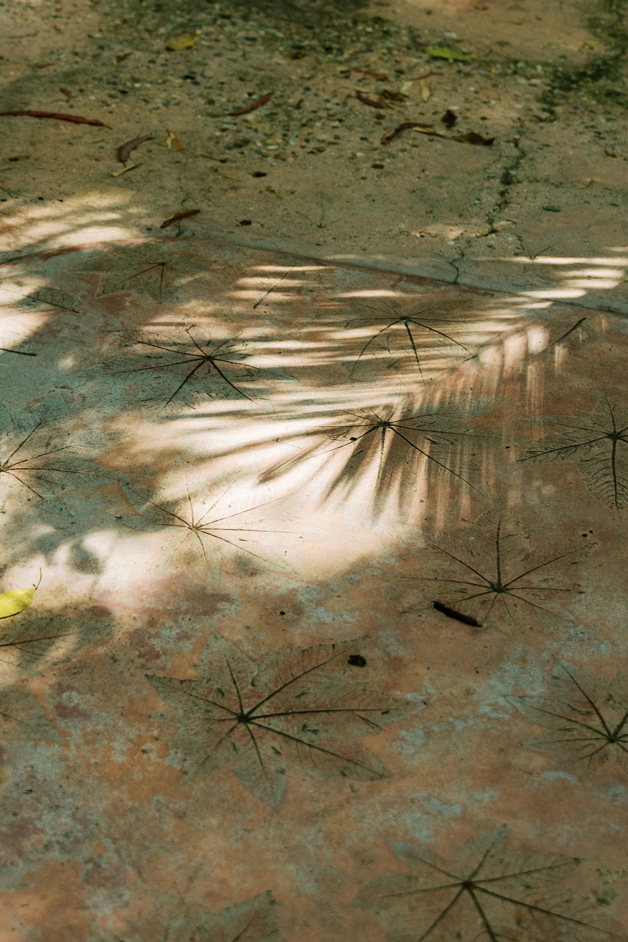 hartley-wedding-tropical-garden-walkway-detail