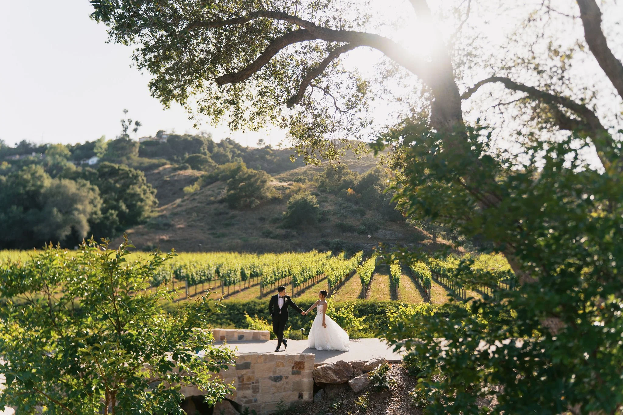 moserate-winery-wedding-vineyard-couple-portrait