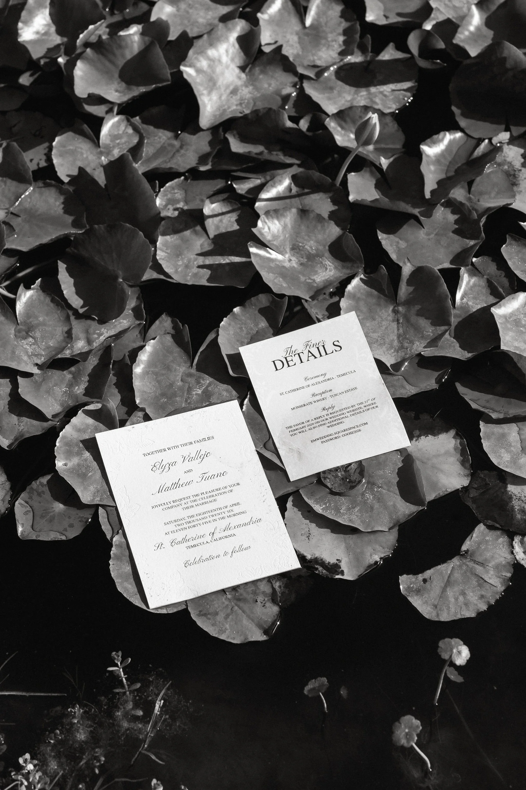 Los-Angeles-Documentary-Photographer52.jpg