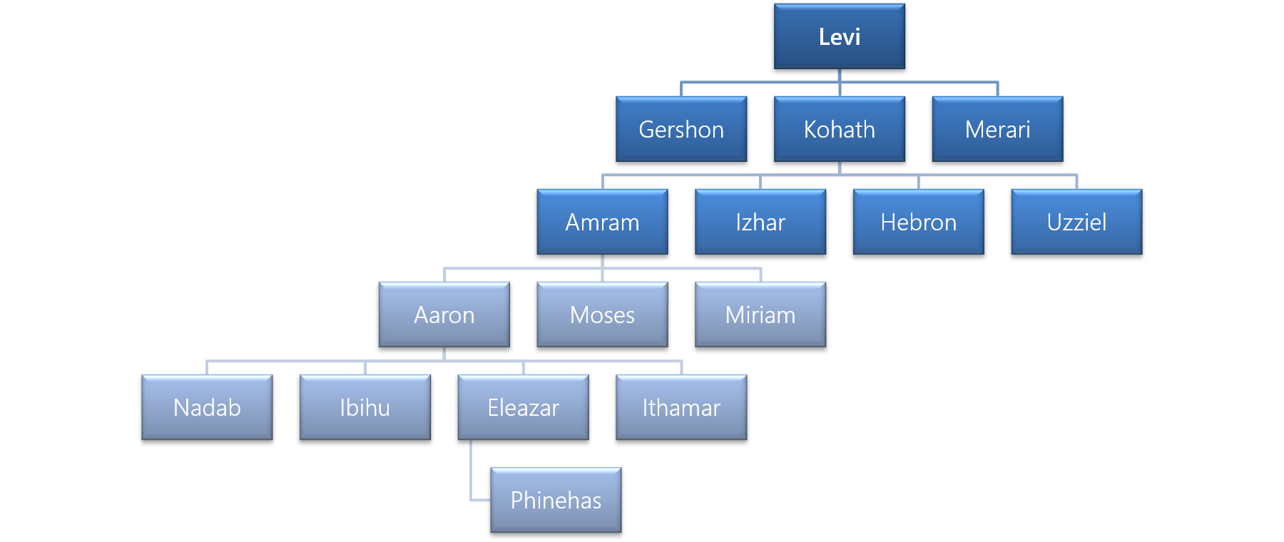 Figure 2 - The Family of Levi