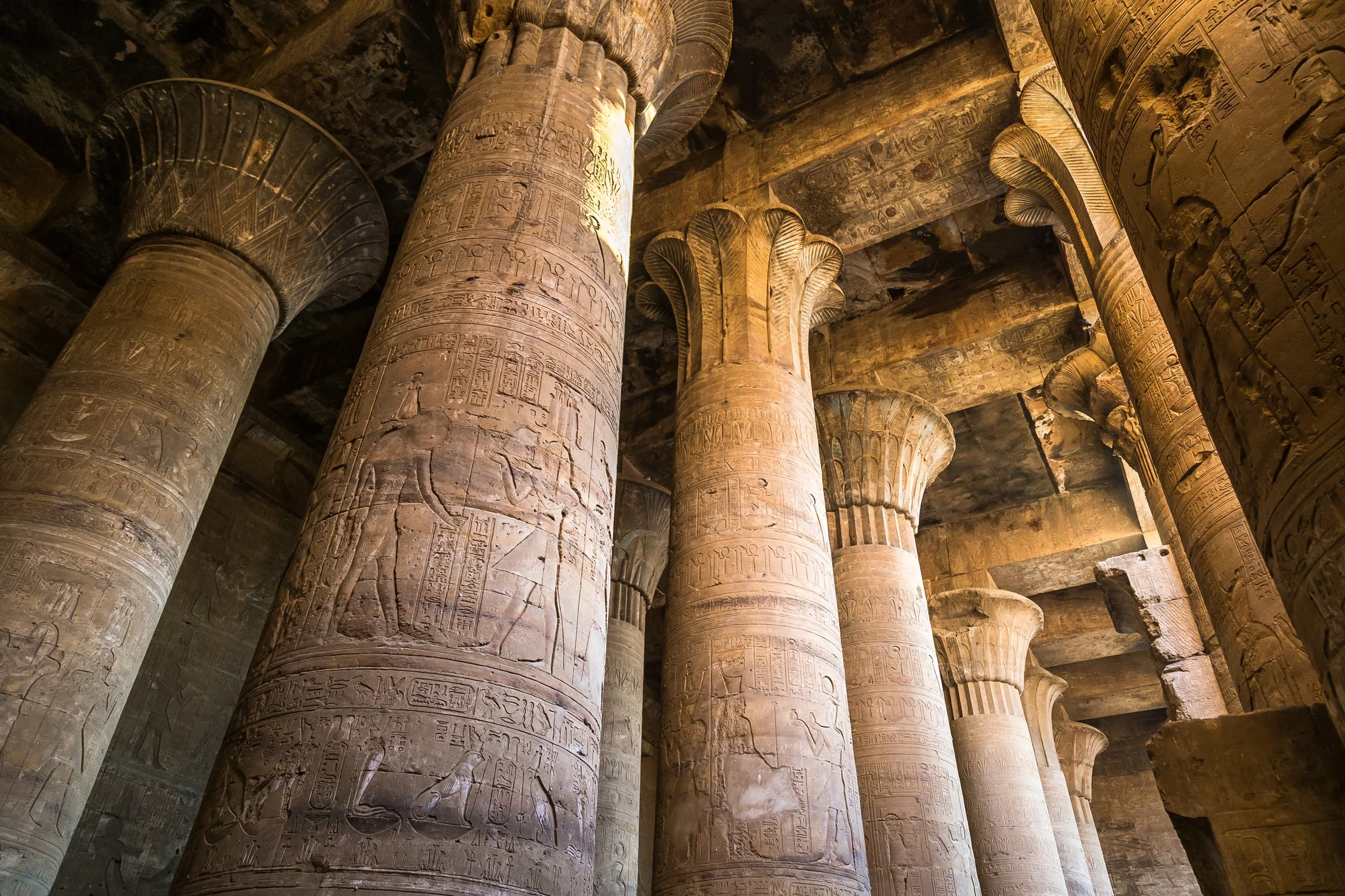 In the Land of Egypt