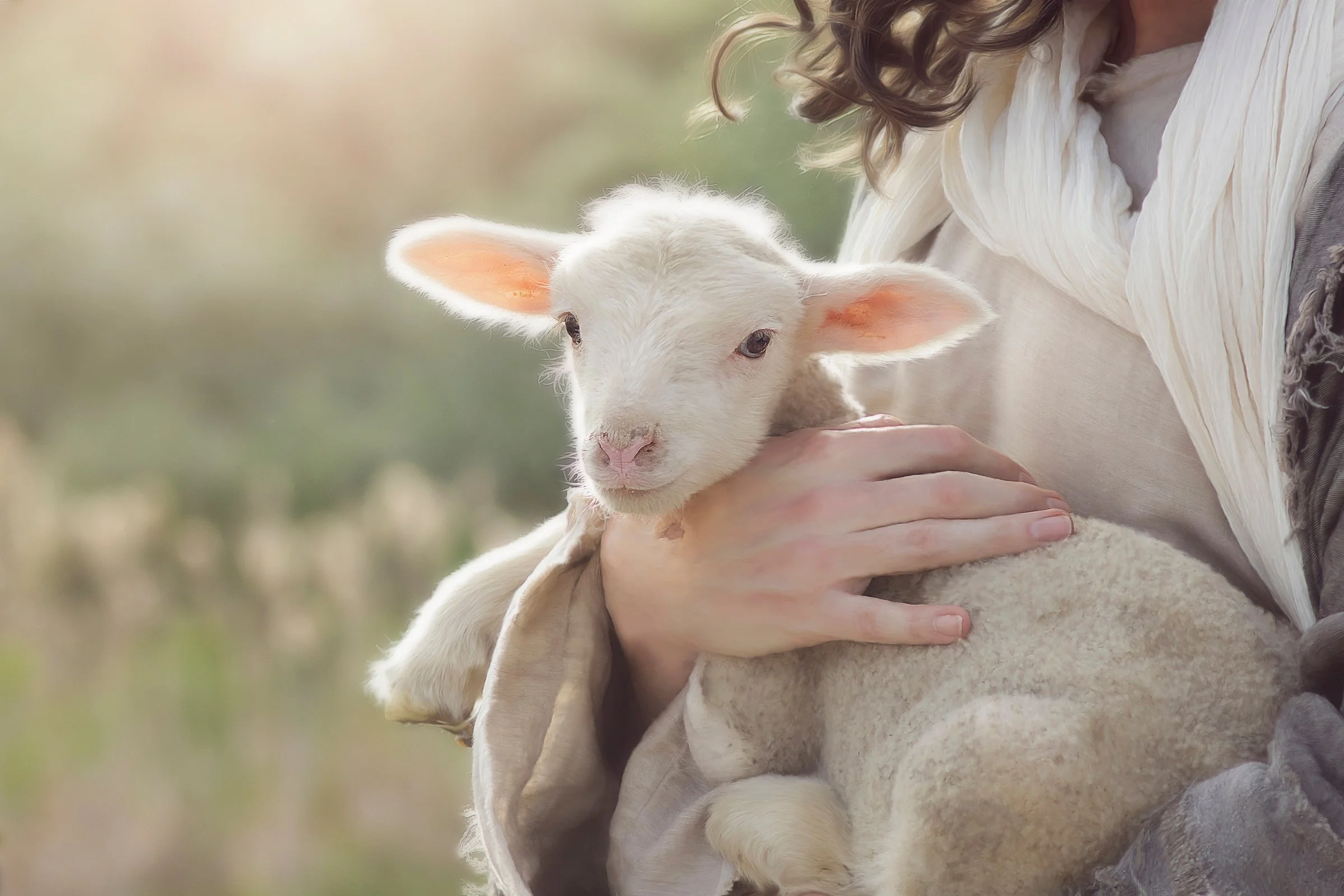 God Will Provide for Himself a Lamb