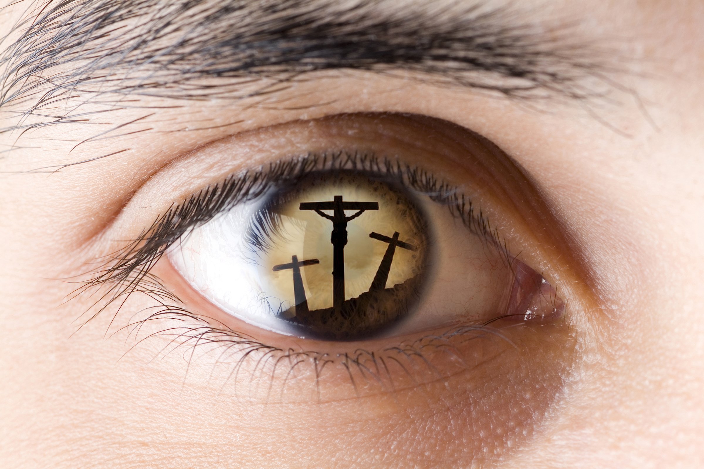 Predestined In Christ